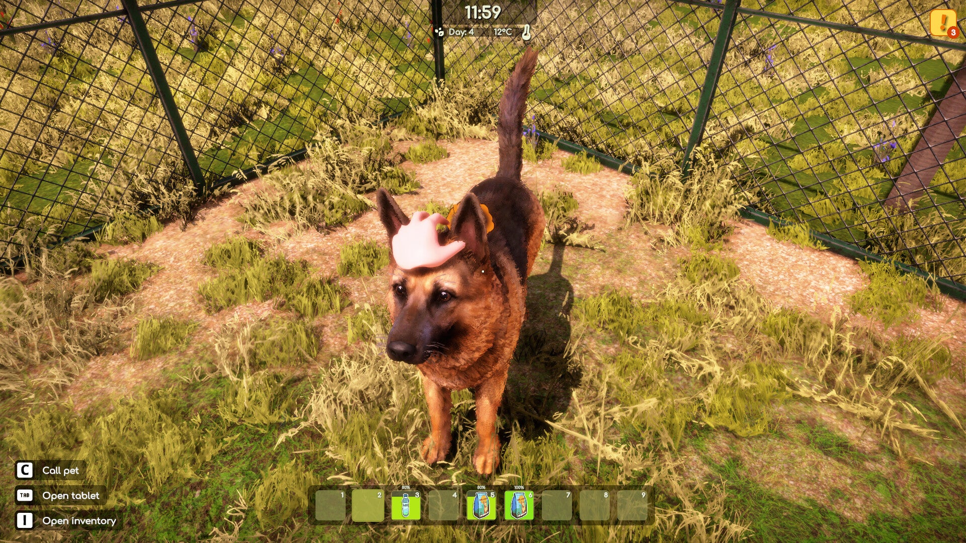 Animal Shelter 2 - Image 16