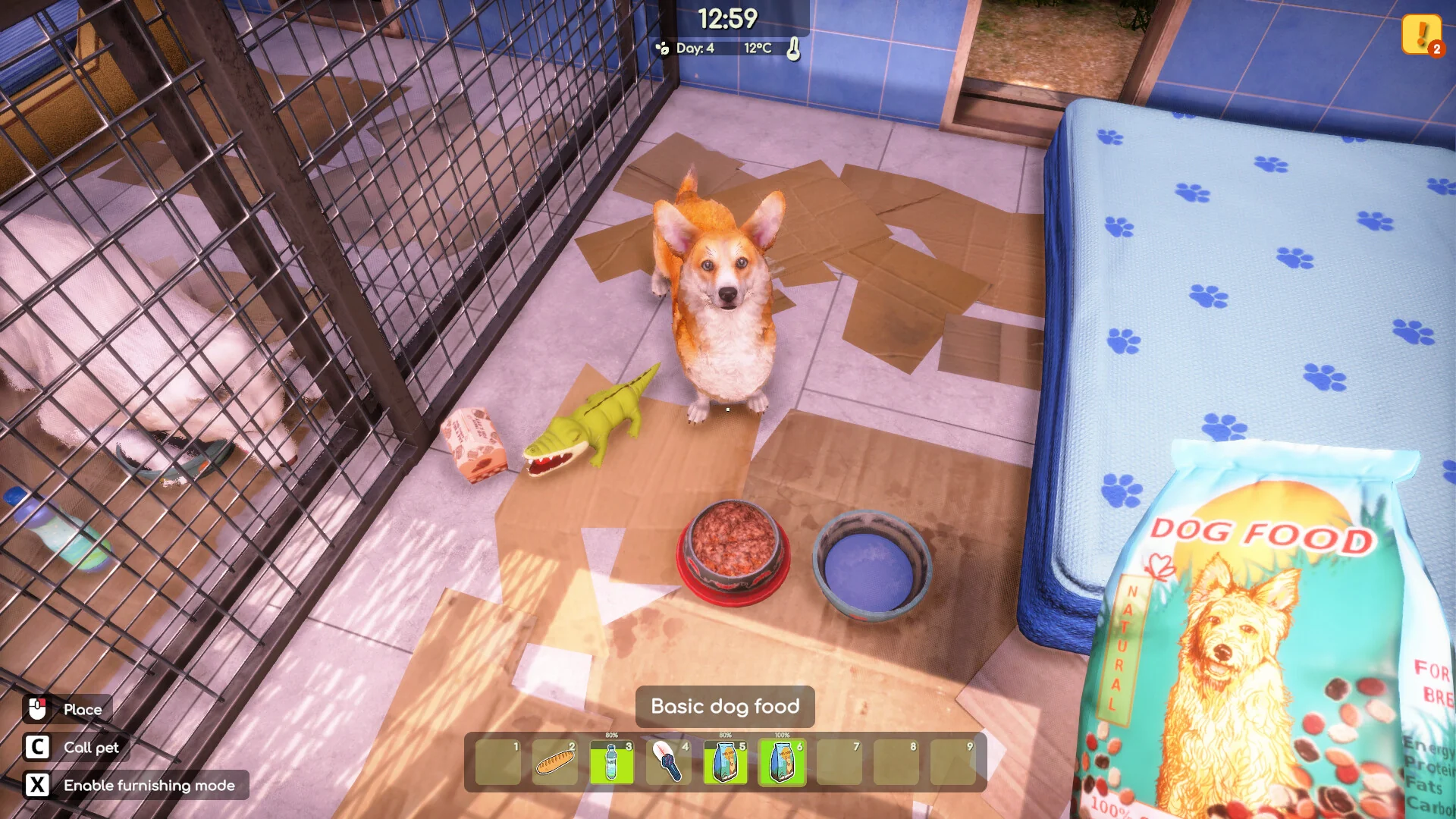 Animal Shelter 2 - Image 4
