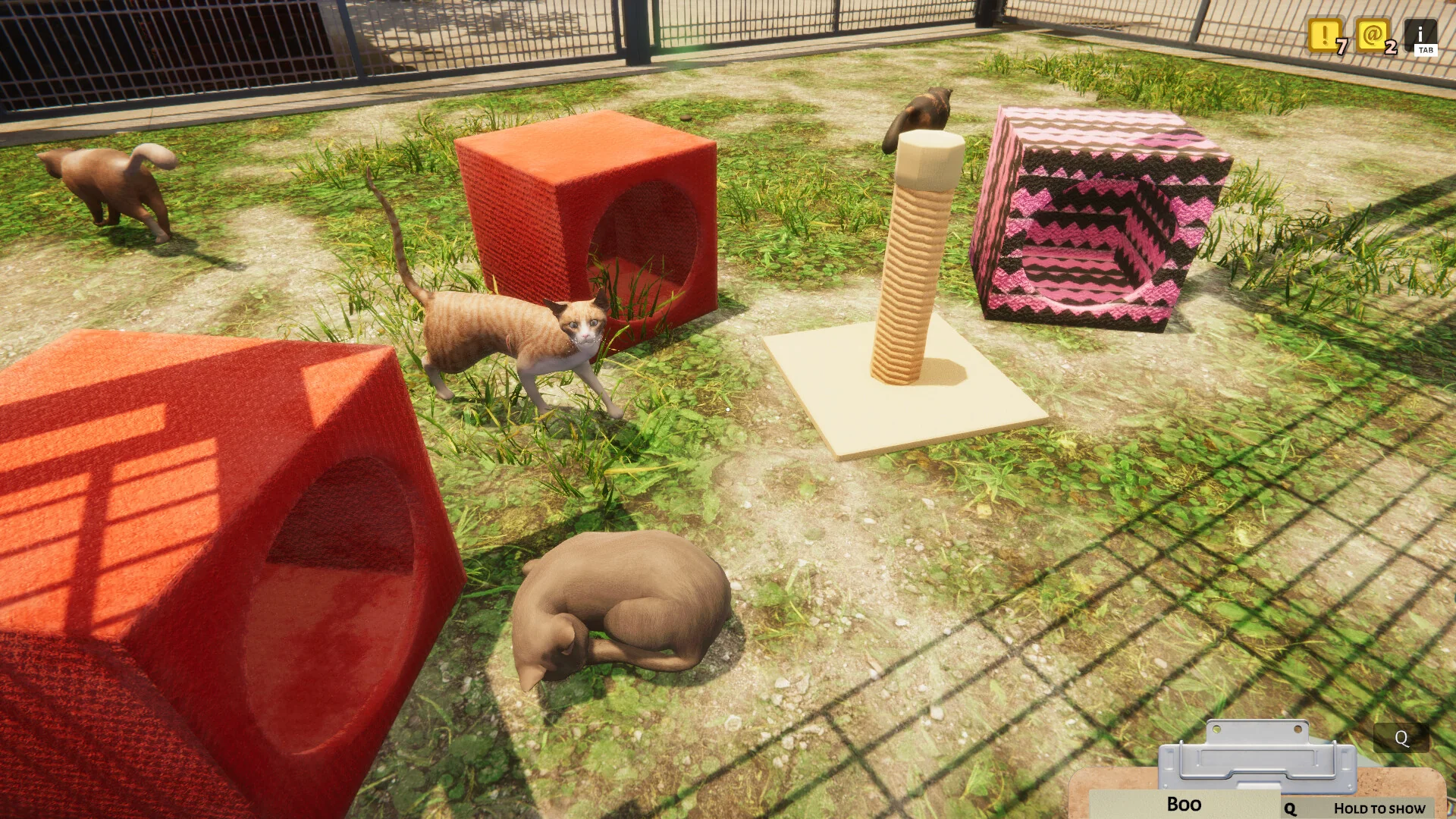 Animal Shelter - Image 5