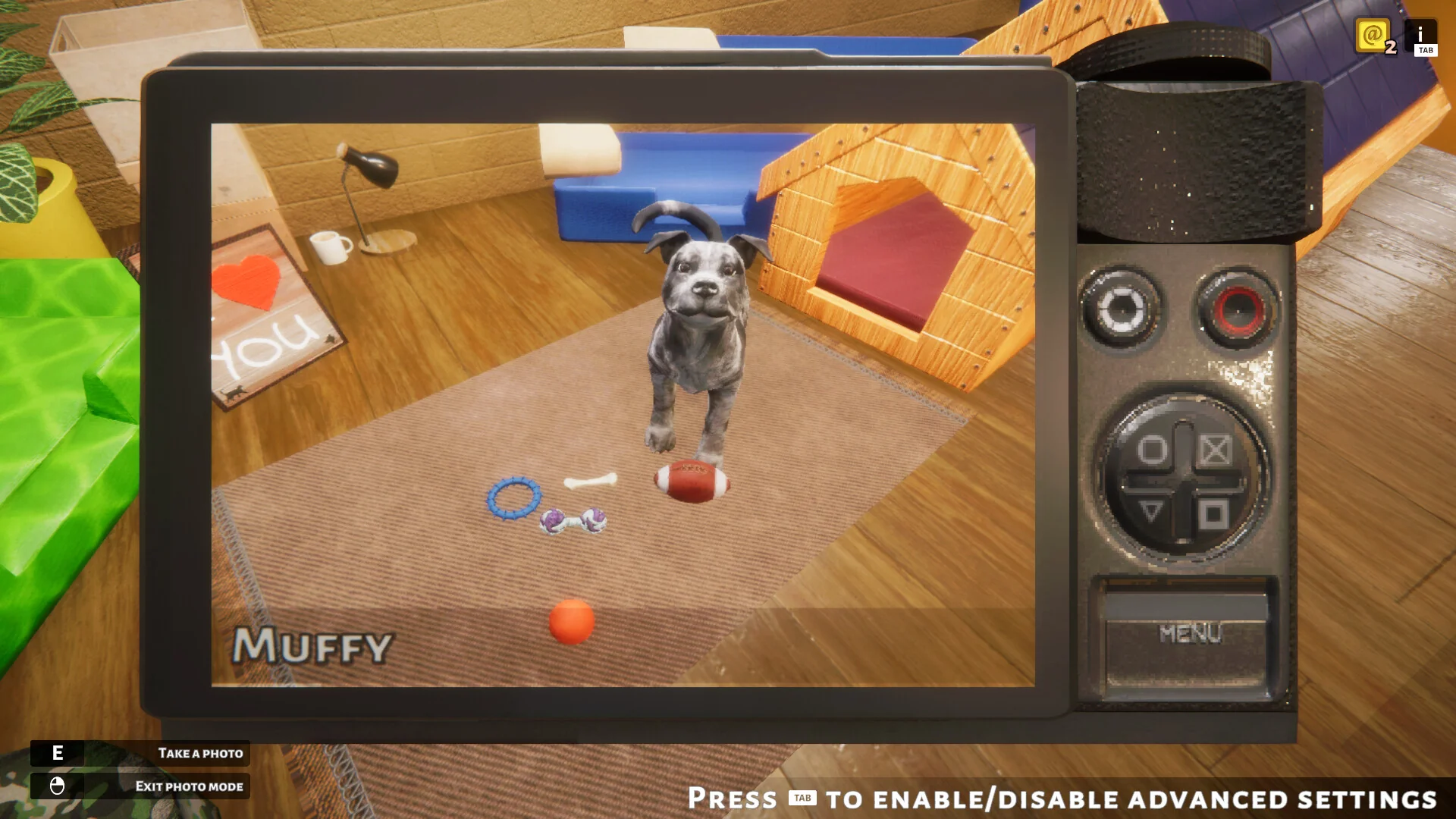 Animal Shelter - Image 7