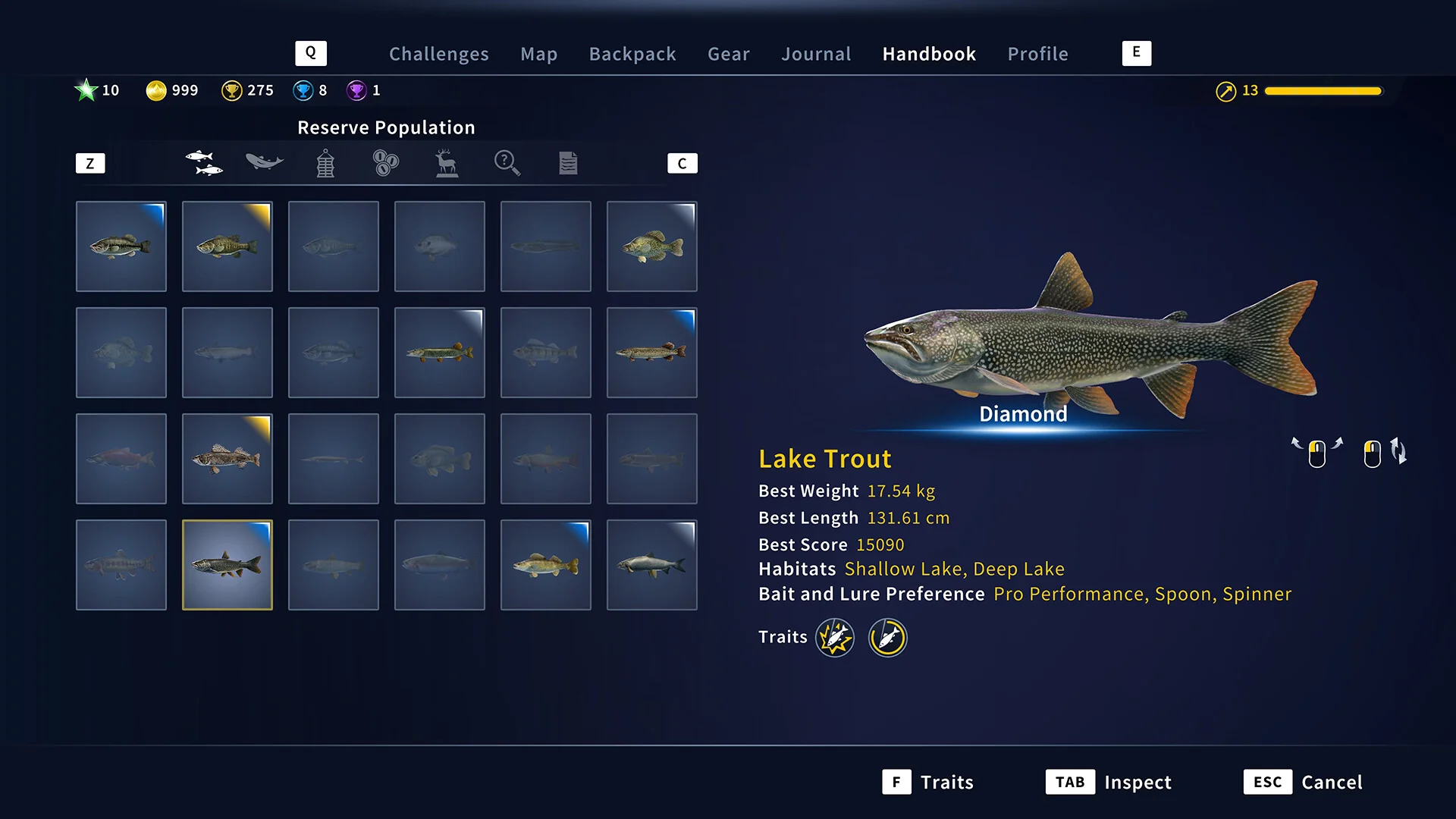Call of the Wild: The Angler™ - Image 6