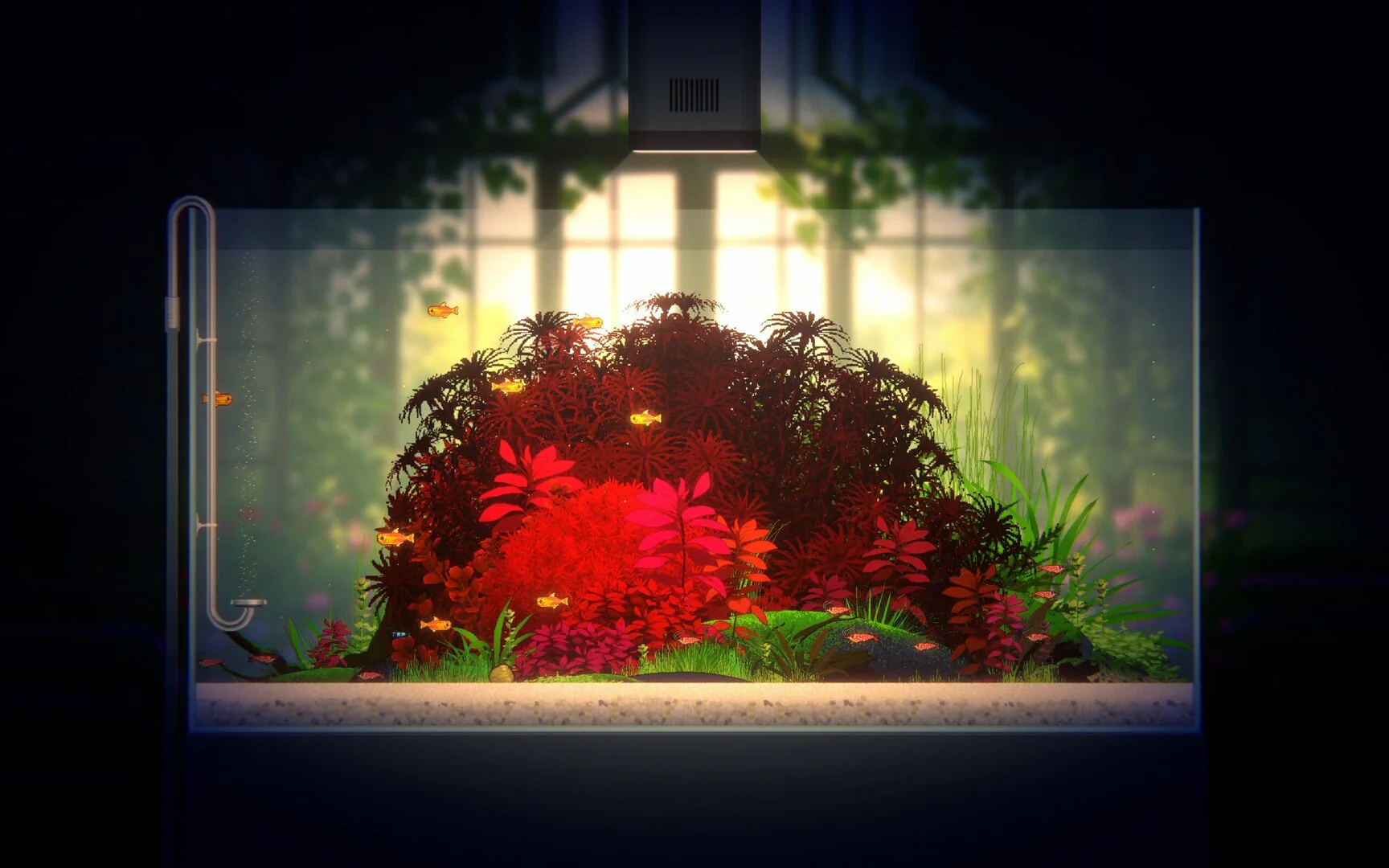 Joyquarium - Image 3