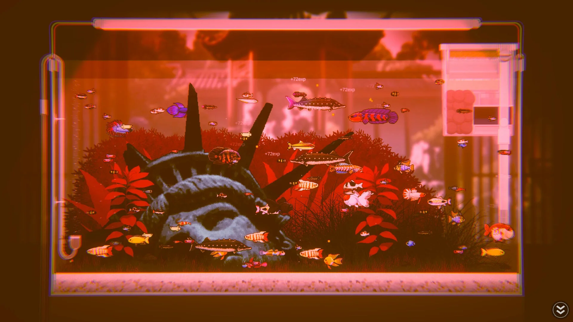 Joyquarium - Image 4