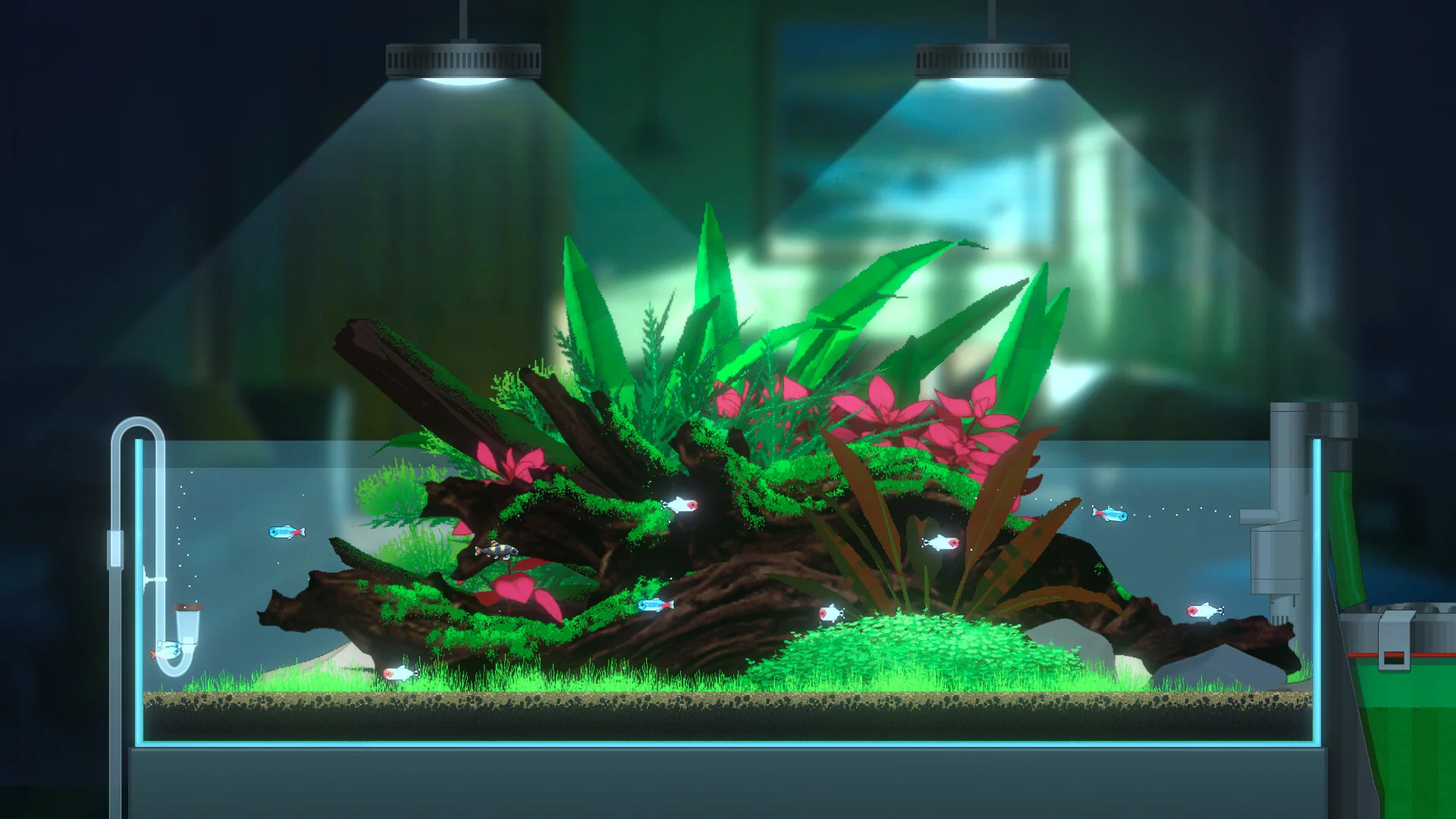 Joyquarium - Image 7