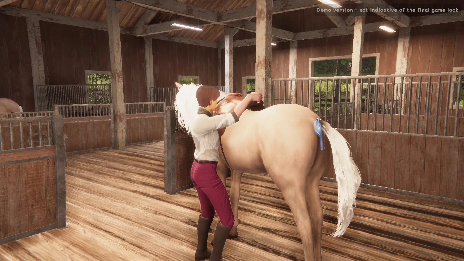 My Horse: Bonded Spirits - Image 11
