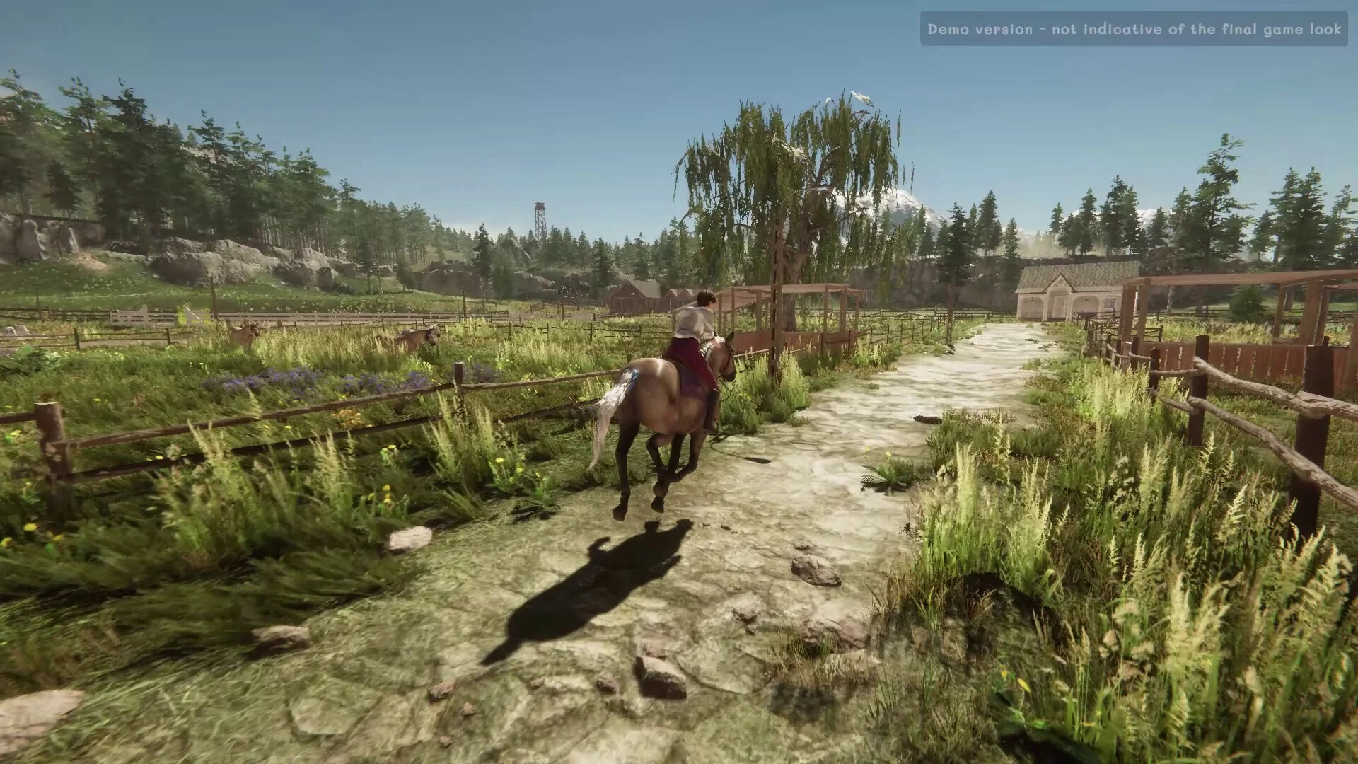My Horse: Bonded Spirits - Image 3