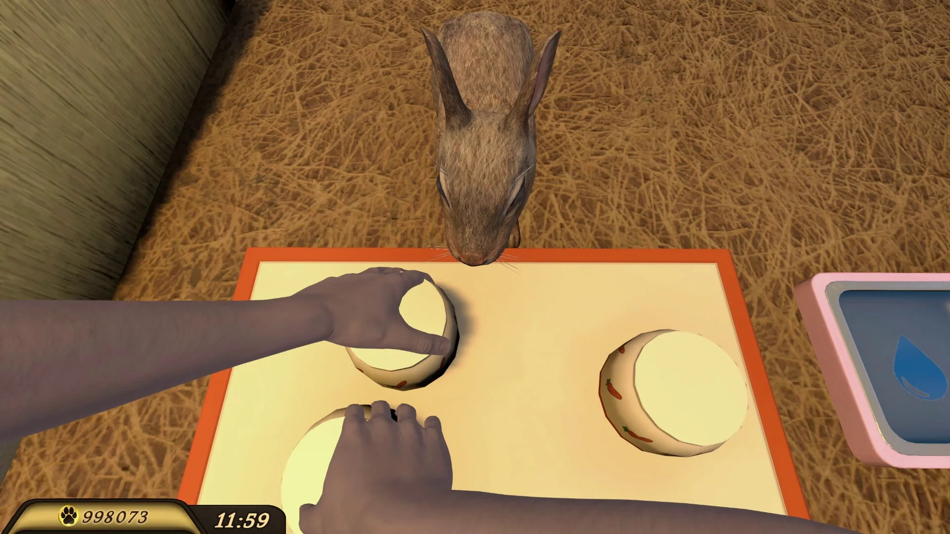 Pets Hotel - Image 22
