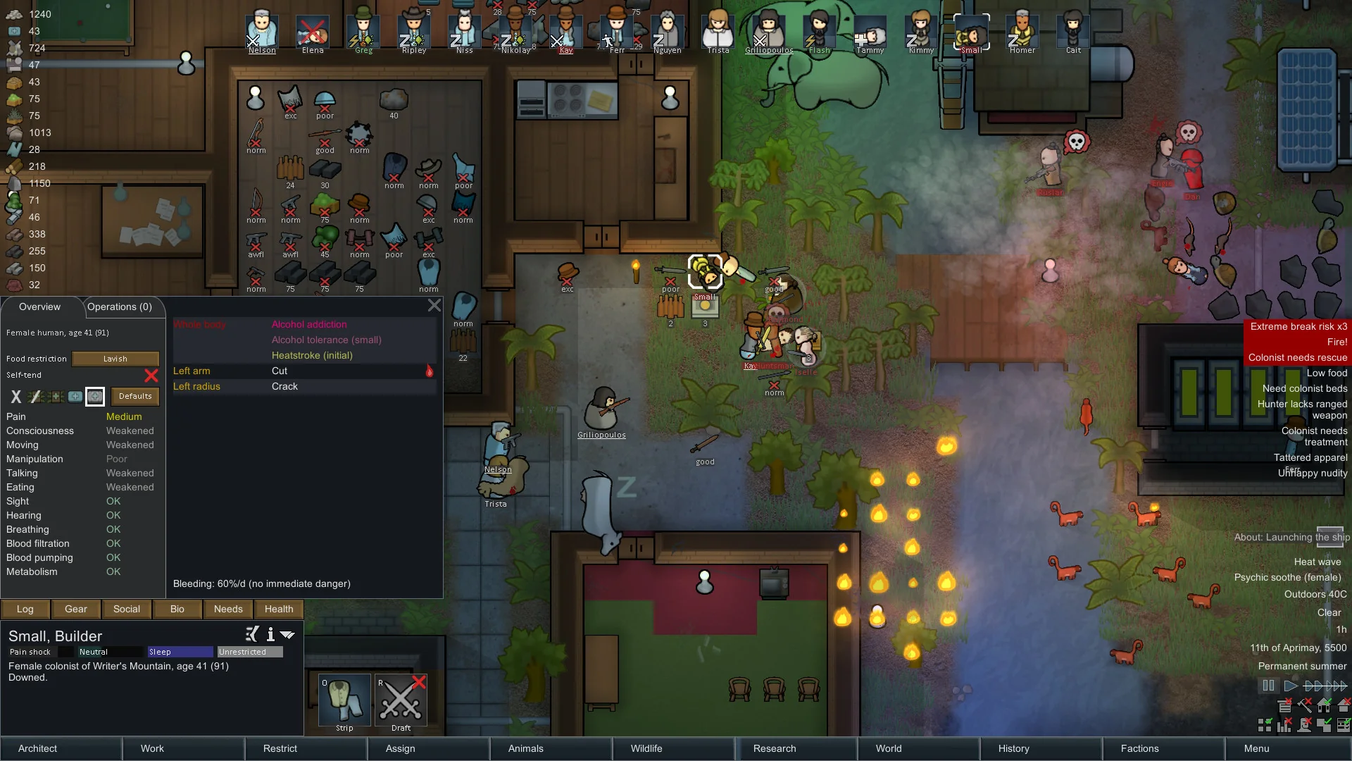 RimWorld - Image 2