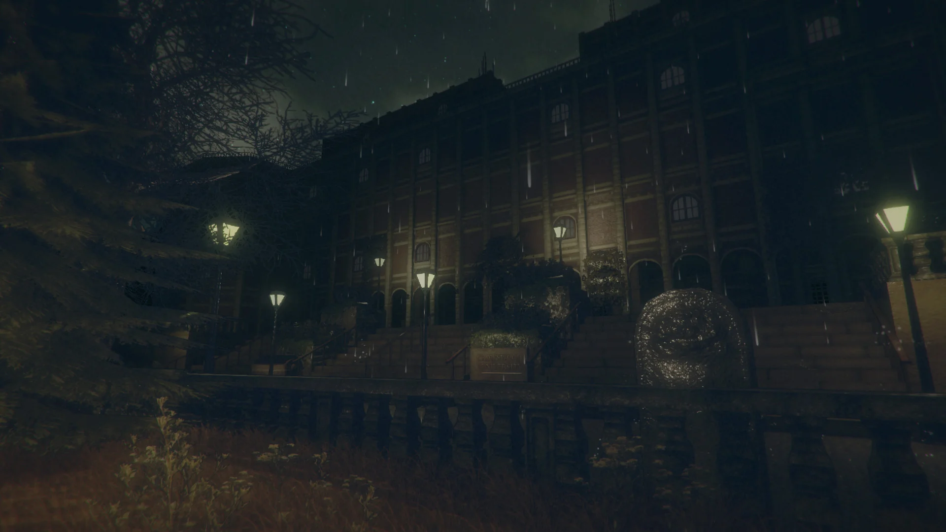 The Crow's Eye - Image 4