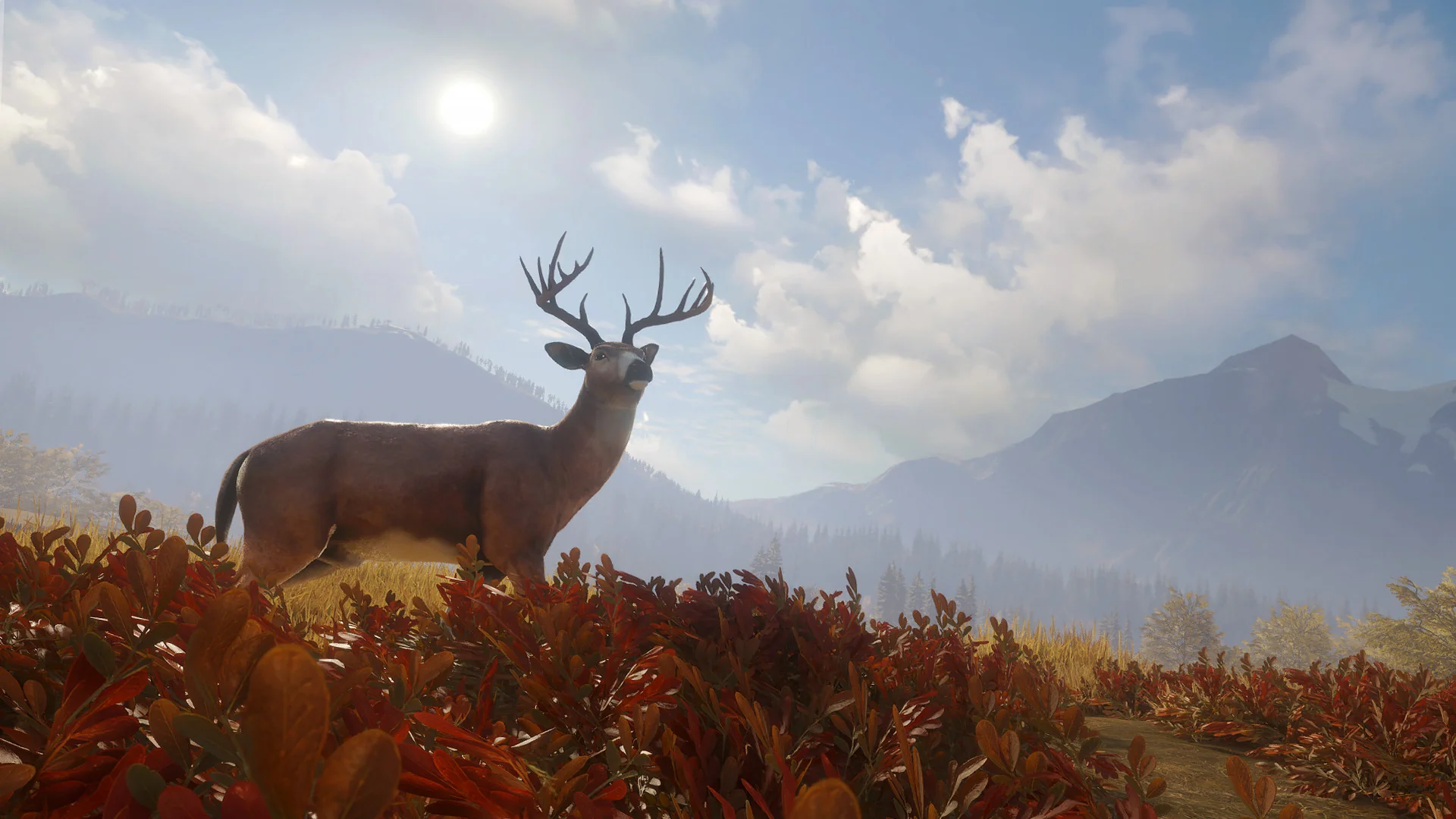 theHunter: Call of the Wild™ - Image 2
