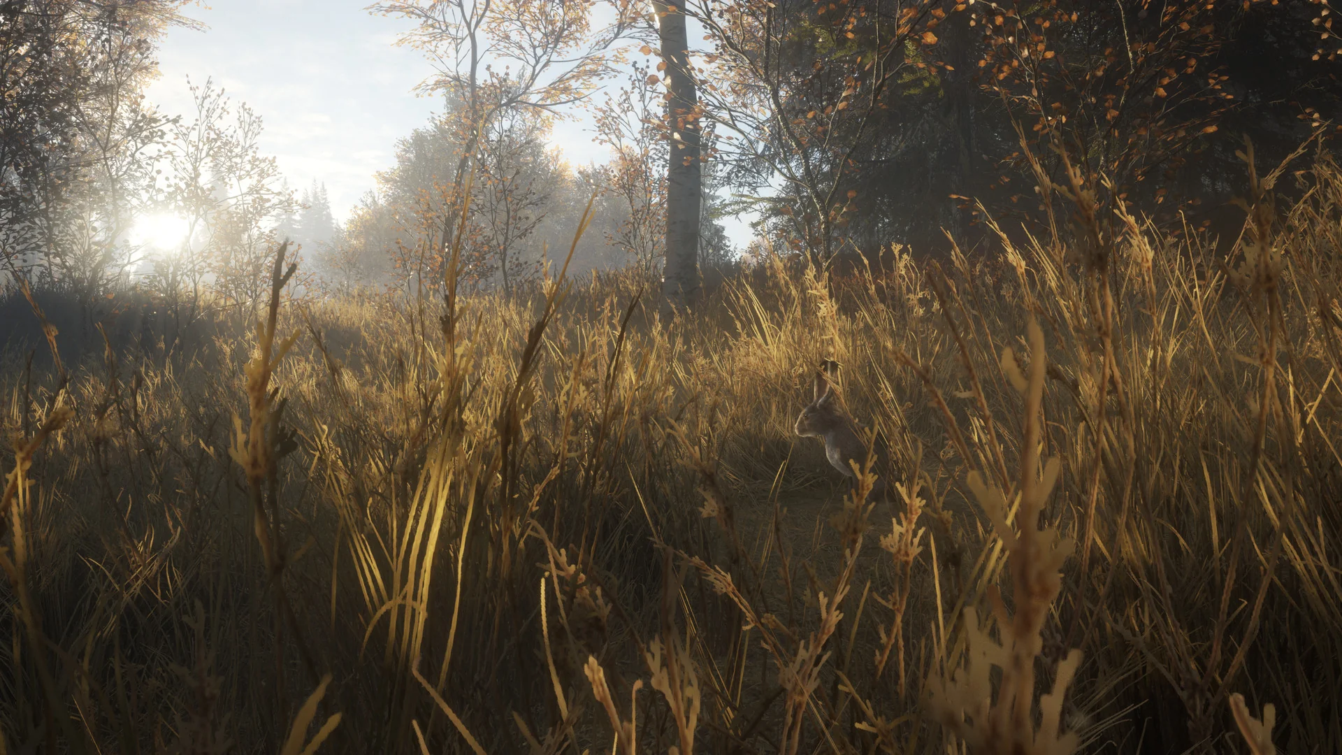 theHunter: Call of the Wild™ - Image 4