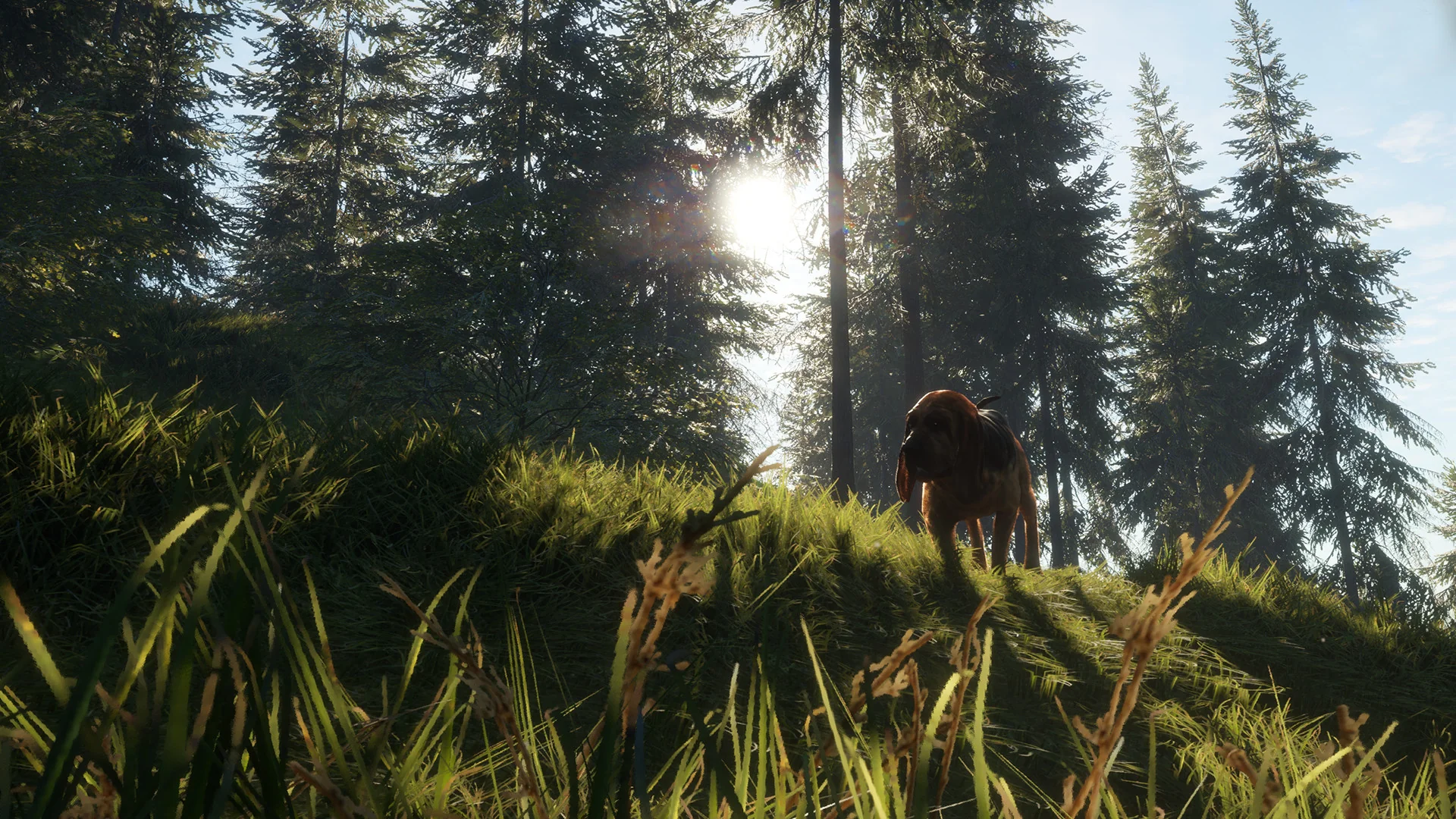 theHunter: Call of the Wild™ - Bloodhound - Image 2