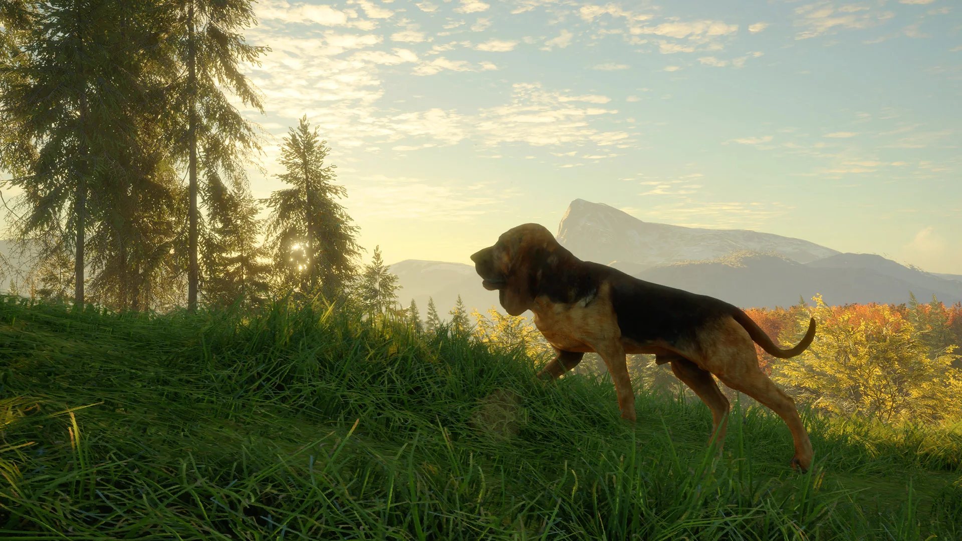 theHunter: Call of the Wild™ - Bloodhound - Image 4