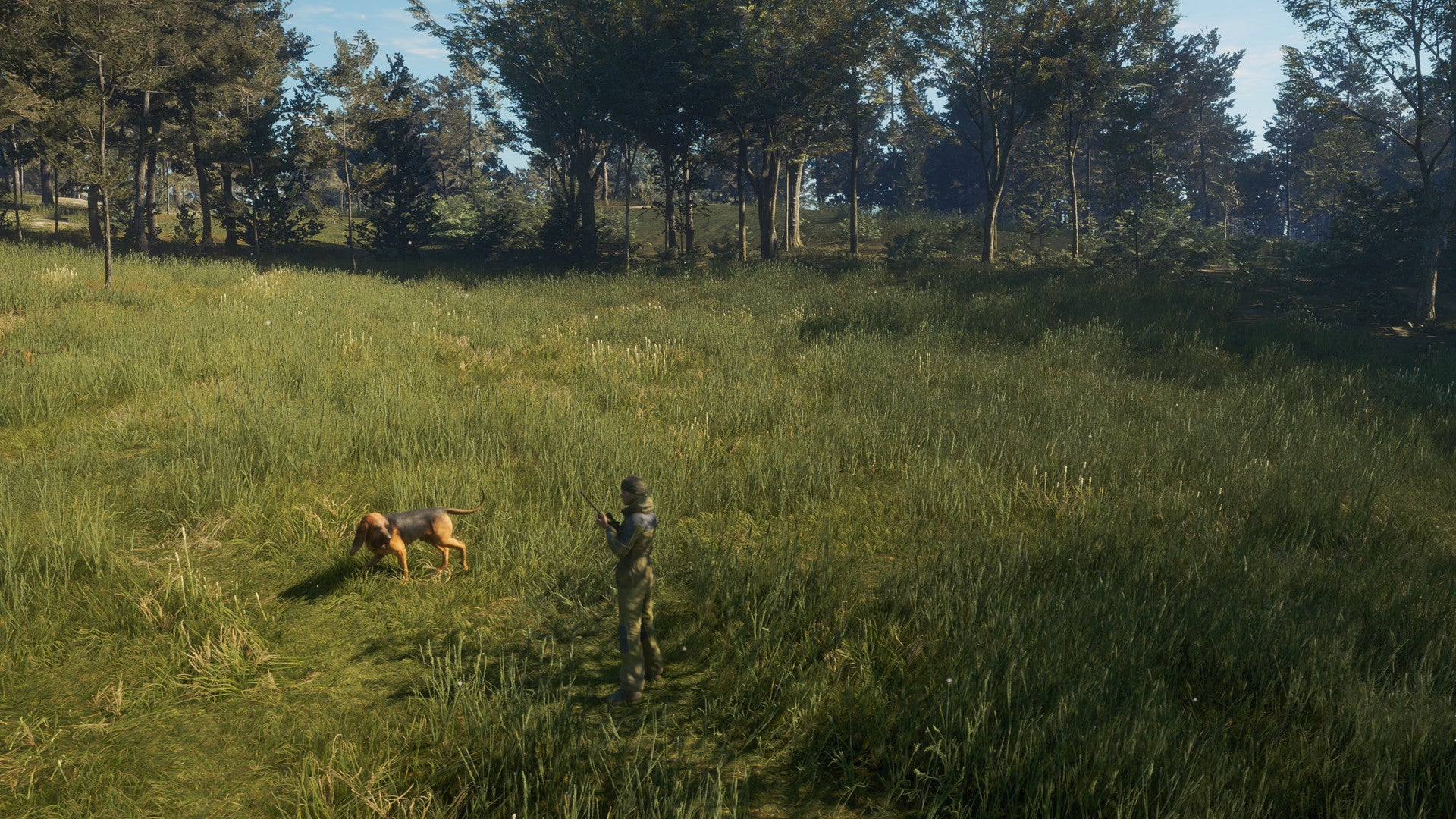 theHunter: Call of the Wild™ - Bloodhound - Image 5