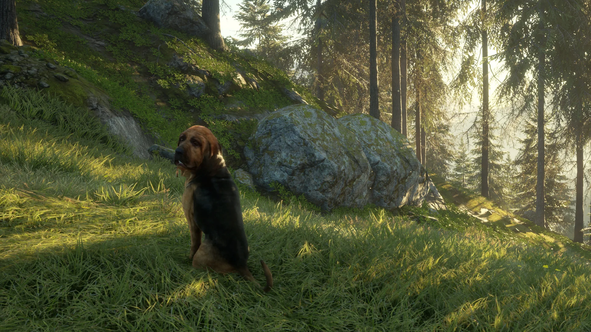 theHunter: Call of the Wild™ - Bloodhound - Image 6