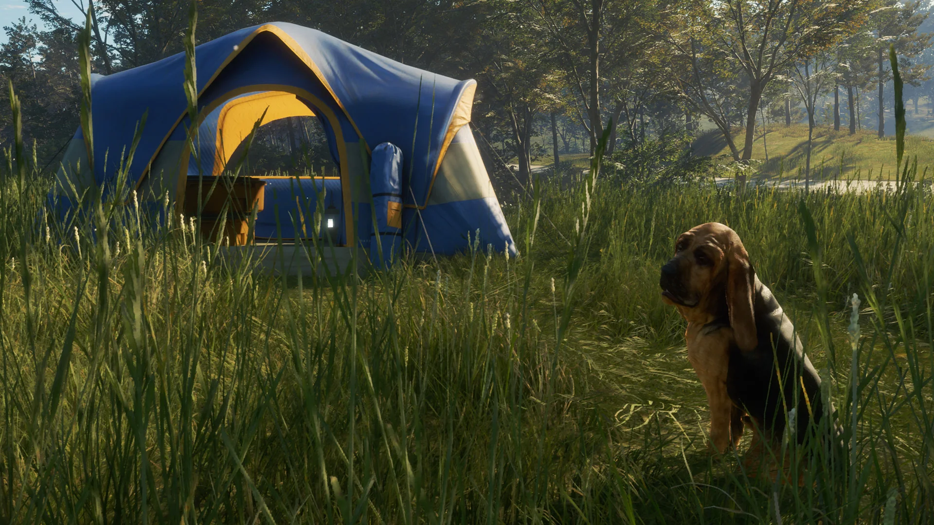 theHunter: Call of the Wild™ - Bloodhound - Image 7