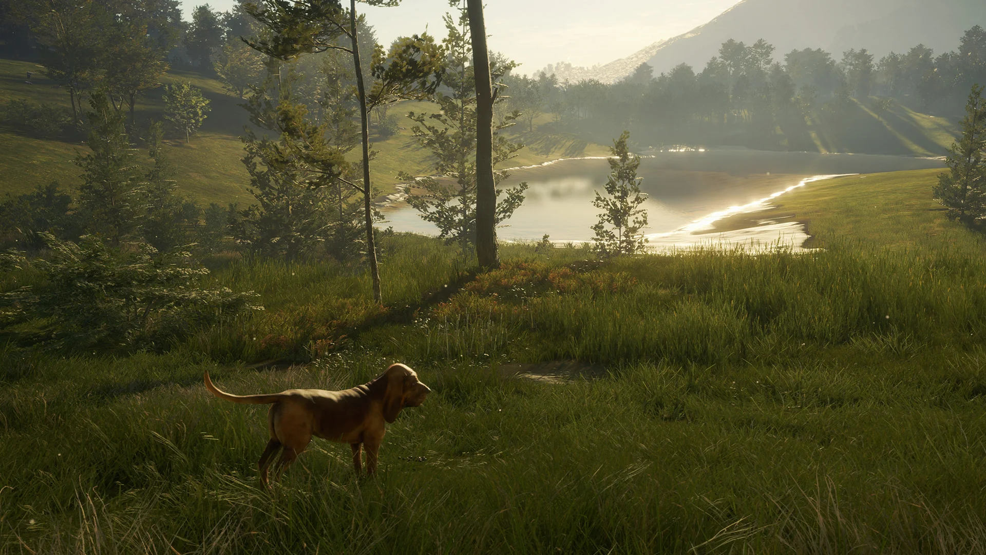 theHunter: Call of the Wild™ - Bloodhound - Image 9