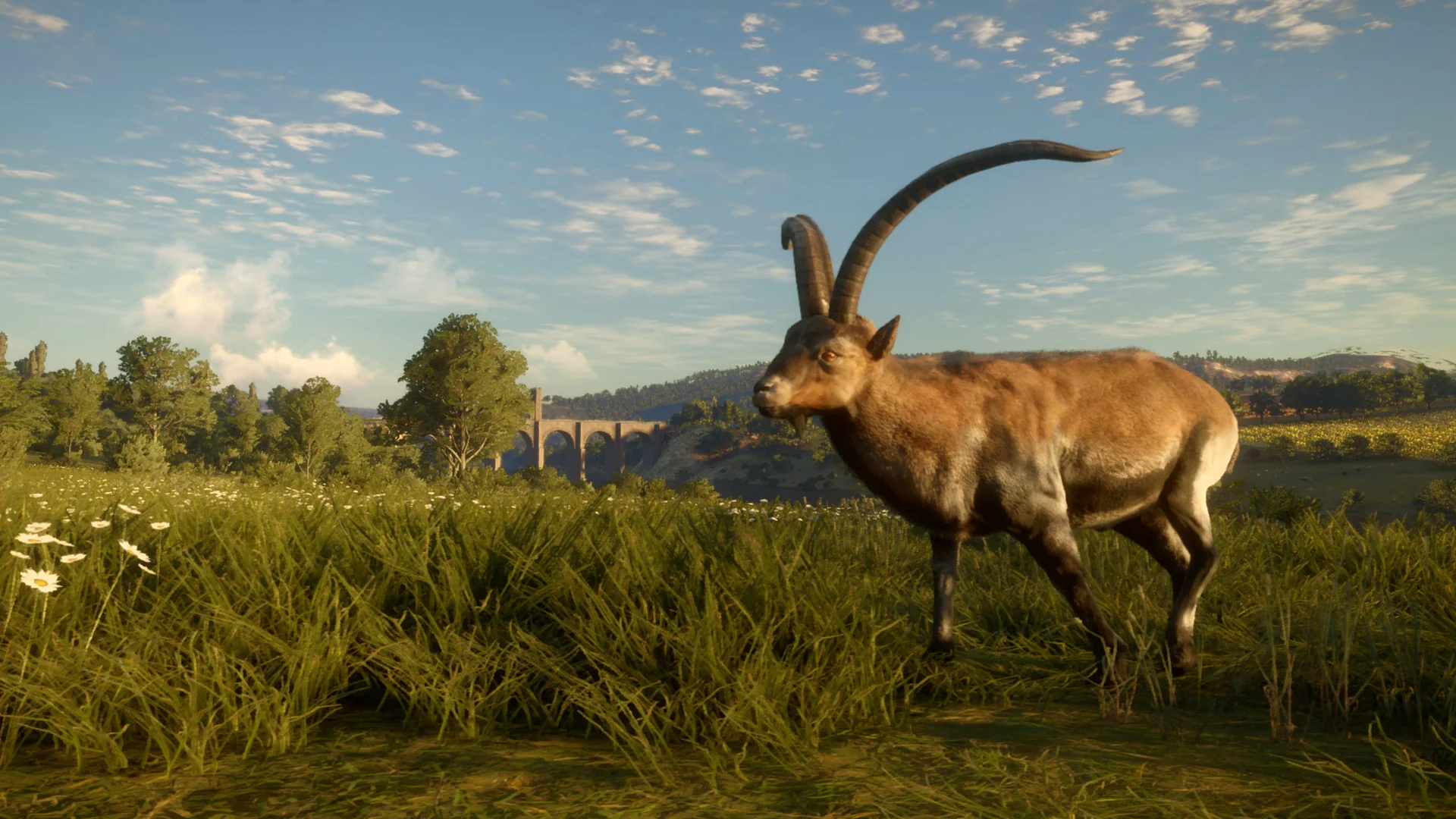 theHunter: Call of the Wild™ - Cuatro Colinas Game Reserve - Image 5