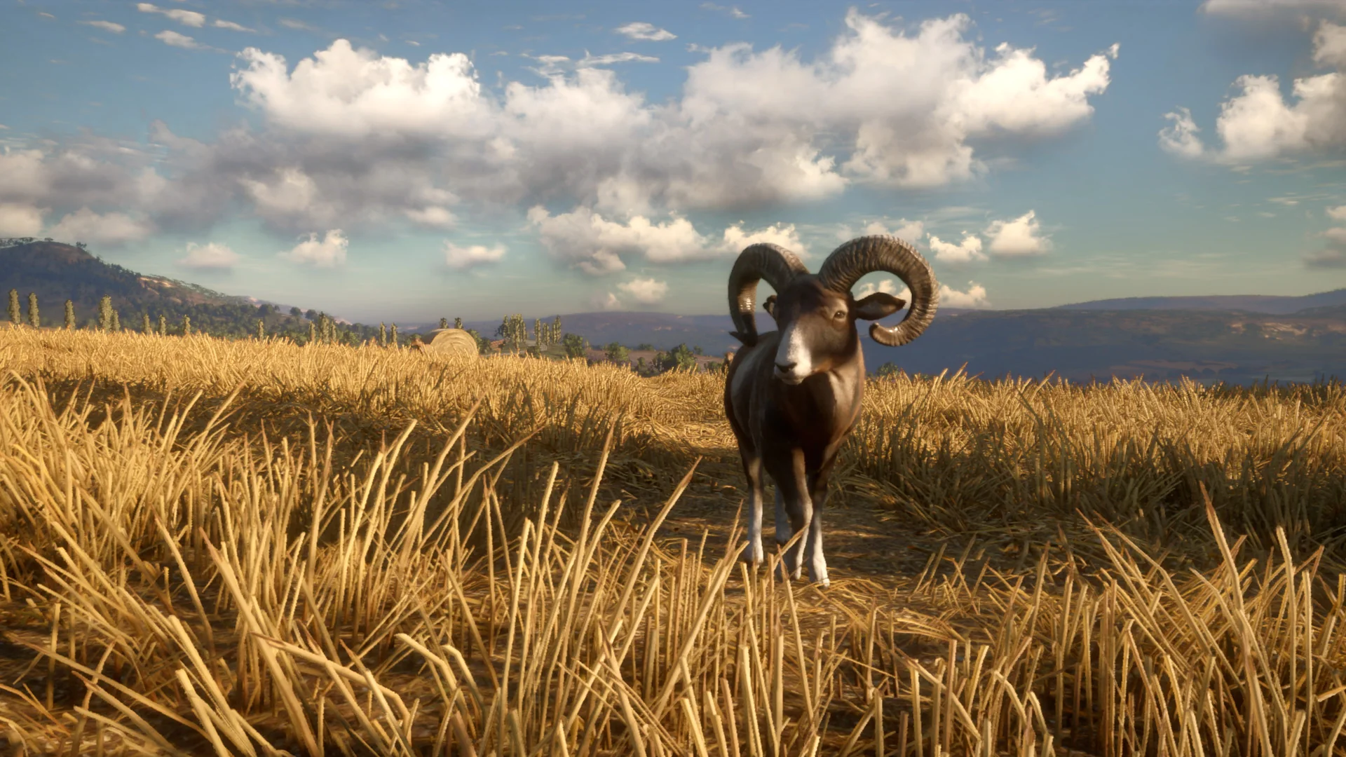 theHunter: Call of the Wild™ - Cuatro Colinas Game Reserve - Image 7