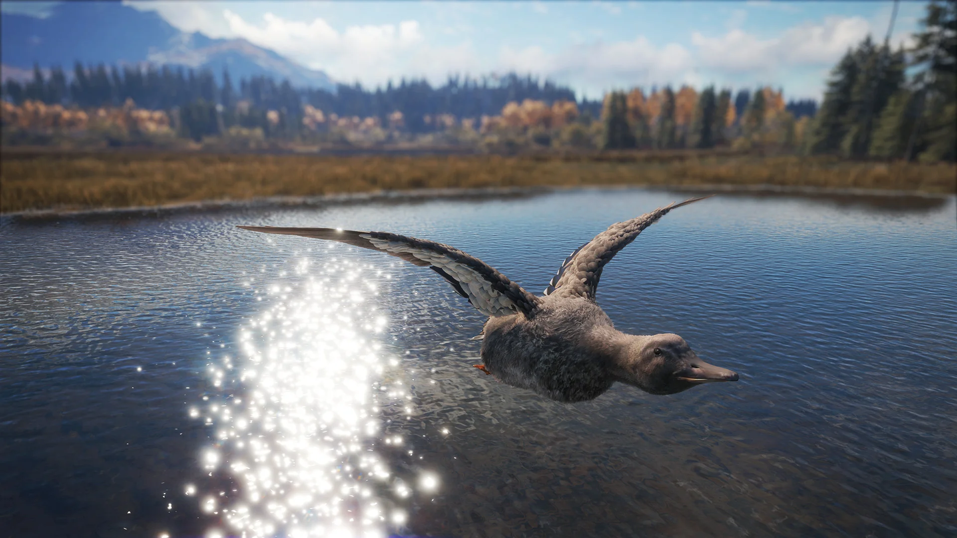 theHunter: Call of the Wild™ - Duck and Cover Pack - Image 10