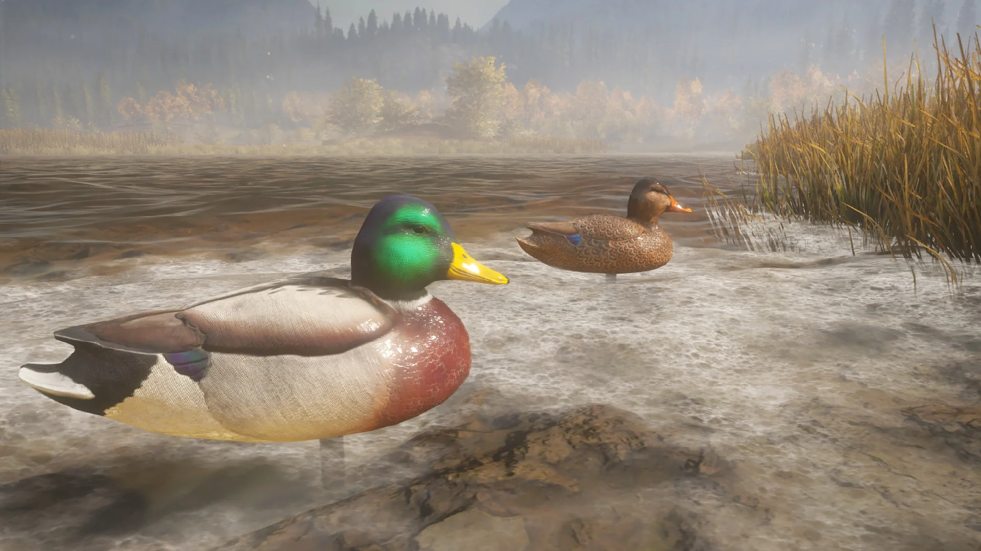 theHunter: Call of the Wild™ - Duck and Cover Pack - Image 5