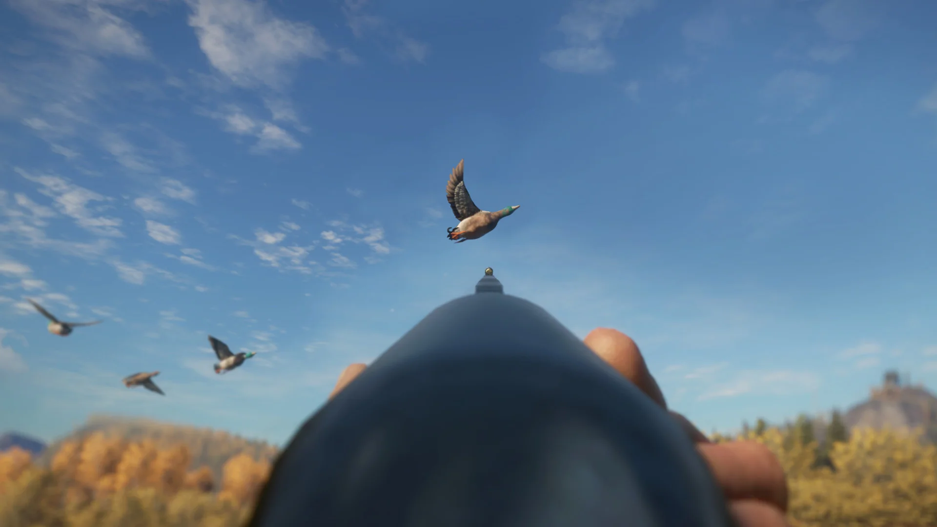 theHunter: Call of the Wild™ - Duck and Cover Pack - Image 6