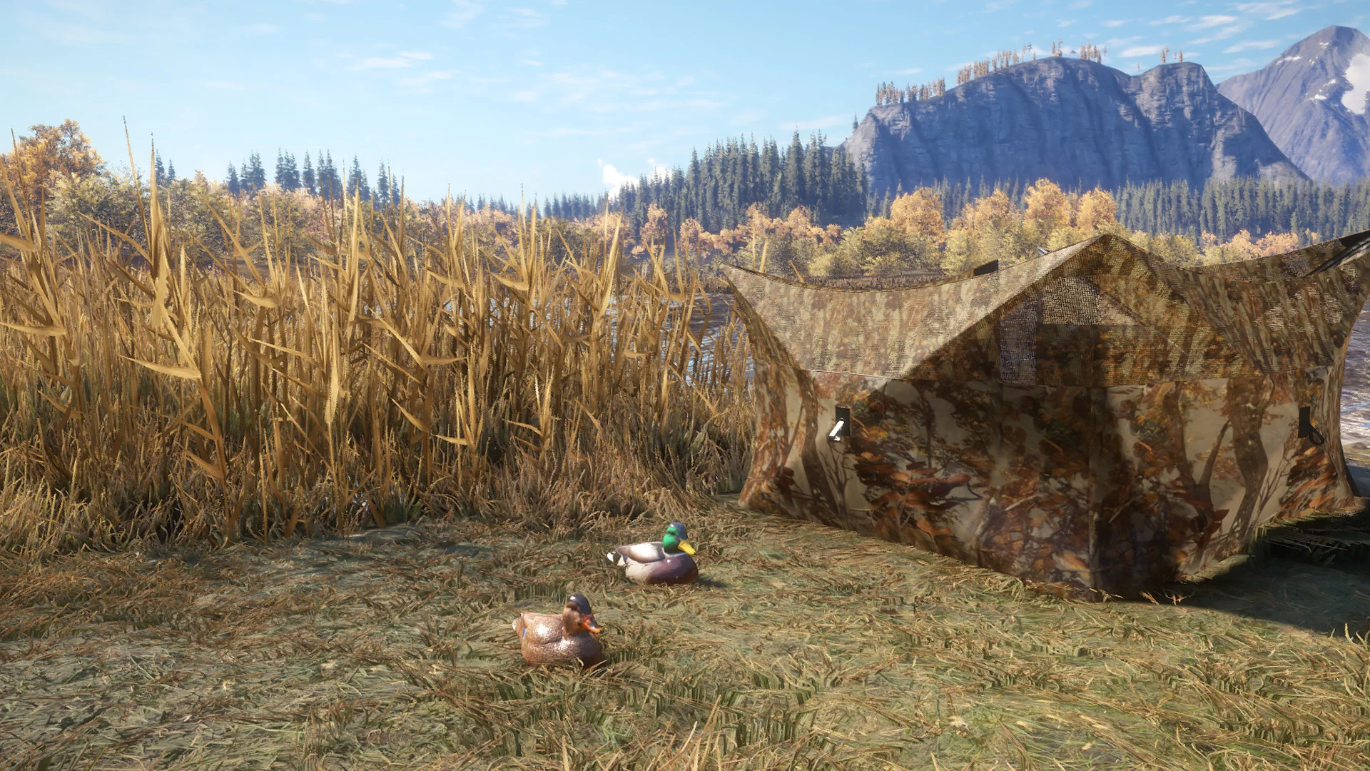 theHunter: Call of the Wild™ - Duck and Cover Pack - Image 7