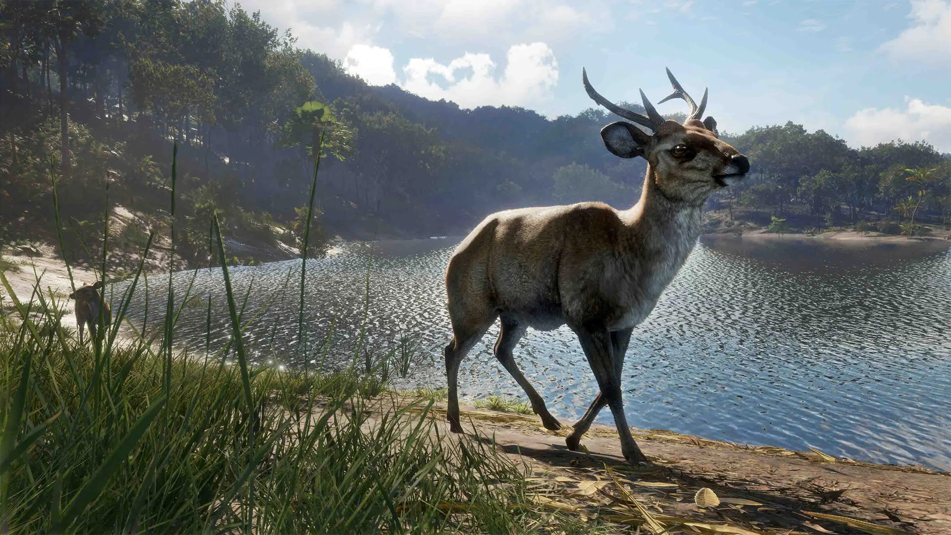 theHunter: Call of the Wild™ - Emerald Coast Australia - Image 3