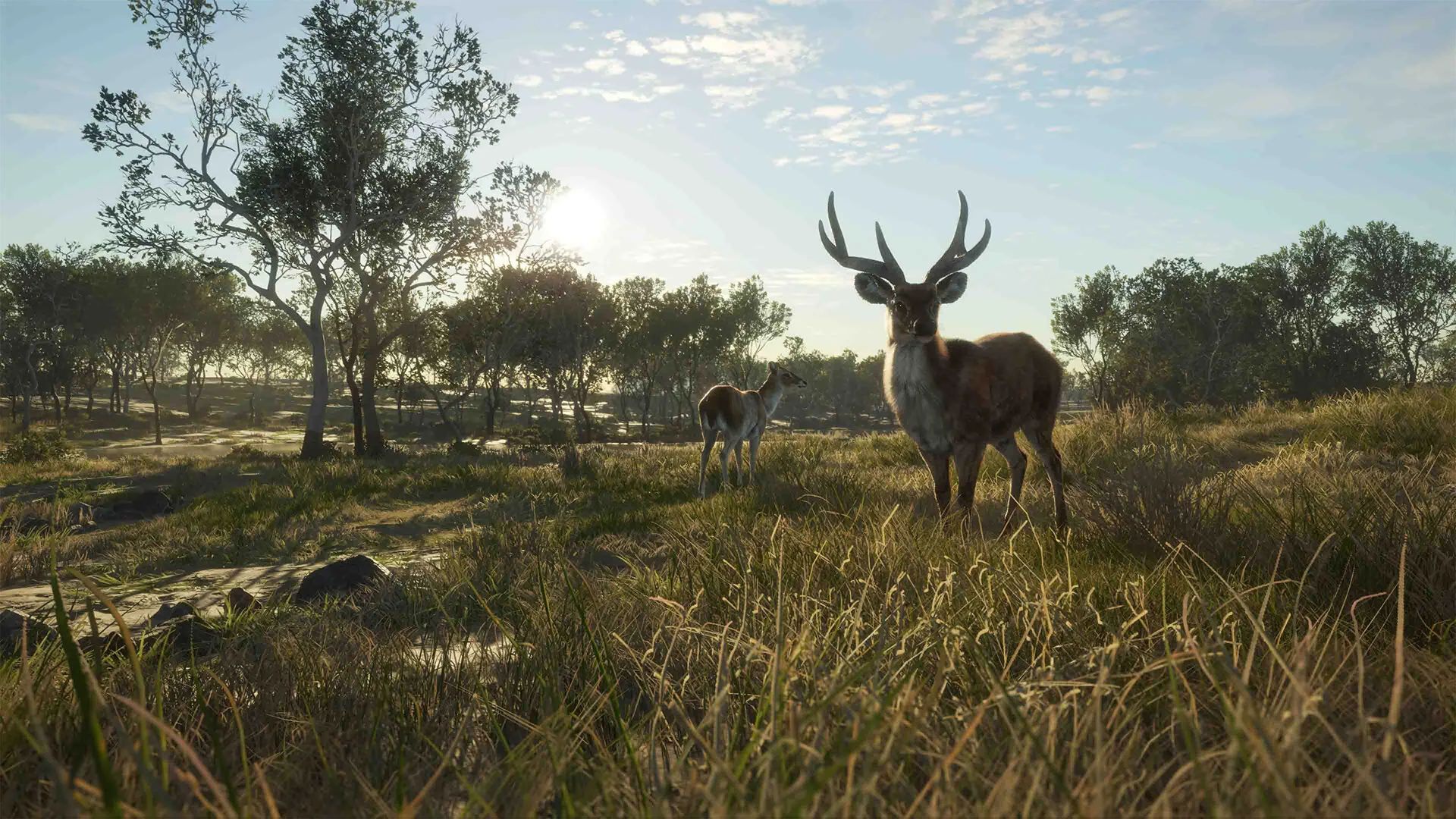 theHunter: Call of the Wild™ - Emerald Coast Australia - Image 5