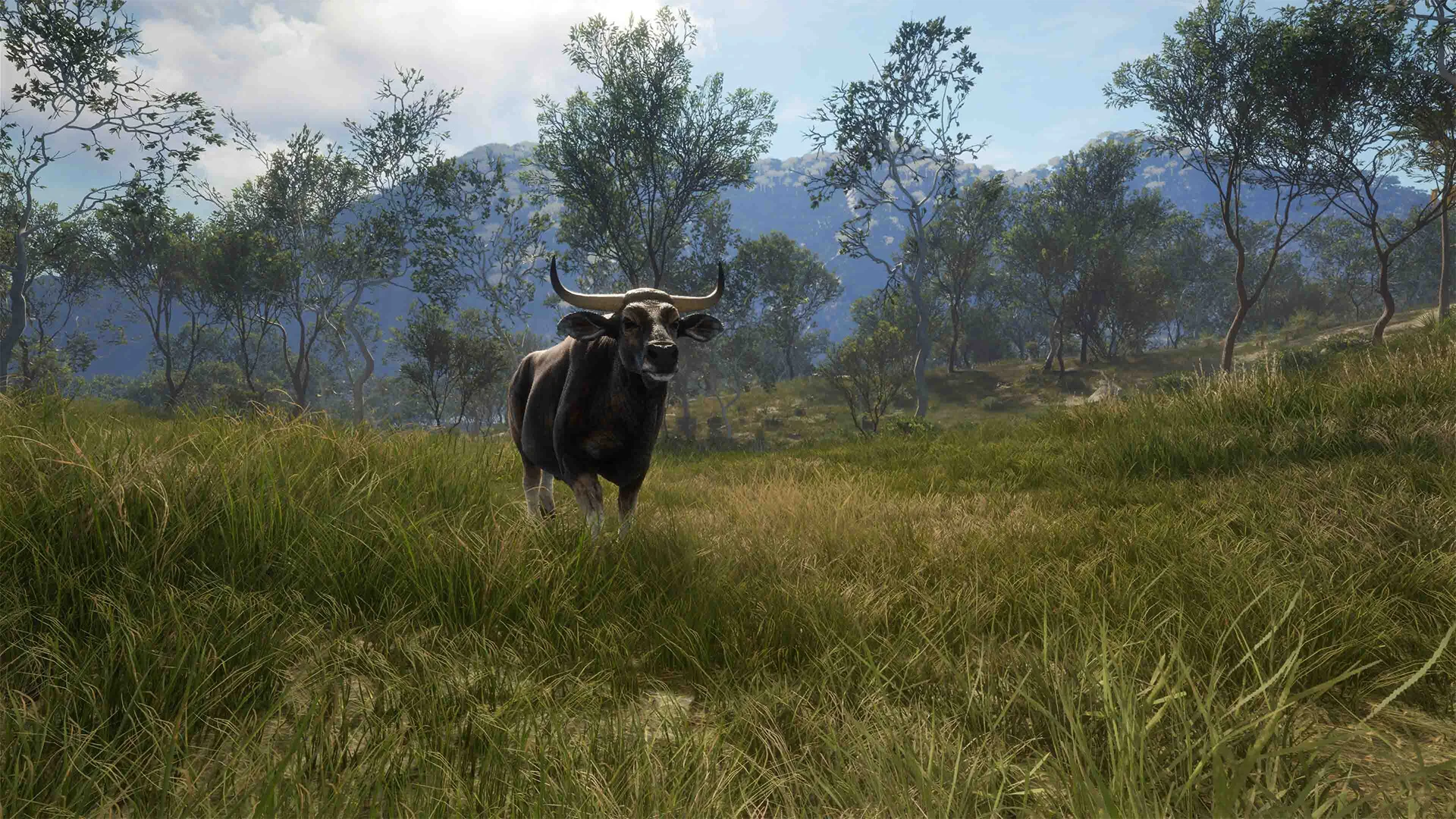theHunter: Call of the Wild™ - Emerald Coast Australia - Image 7