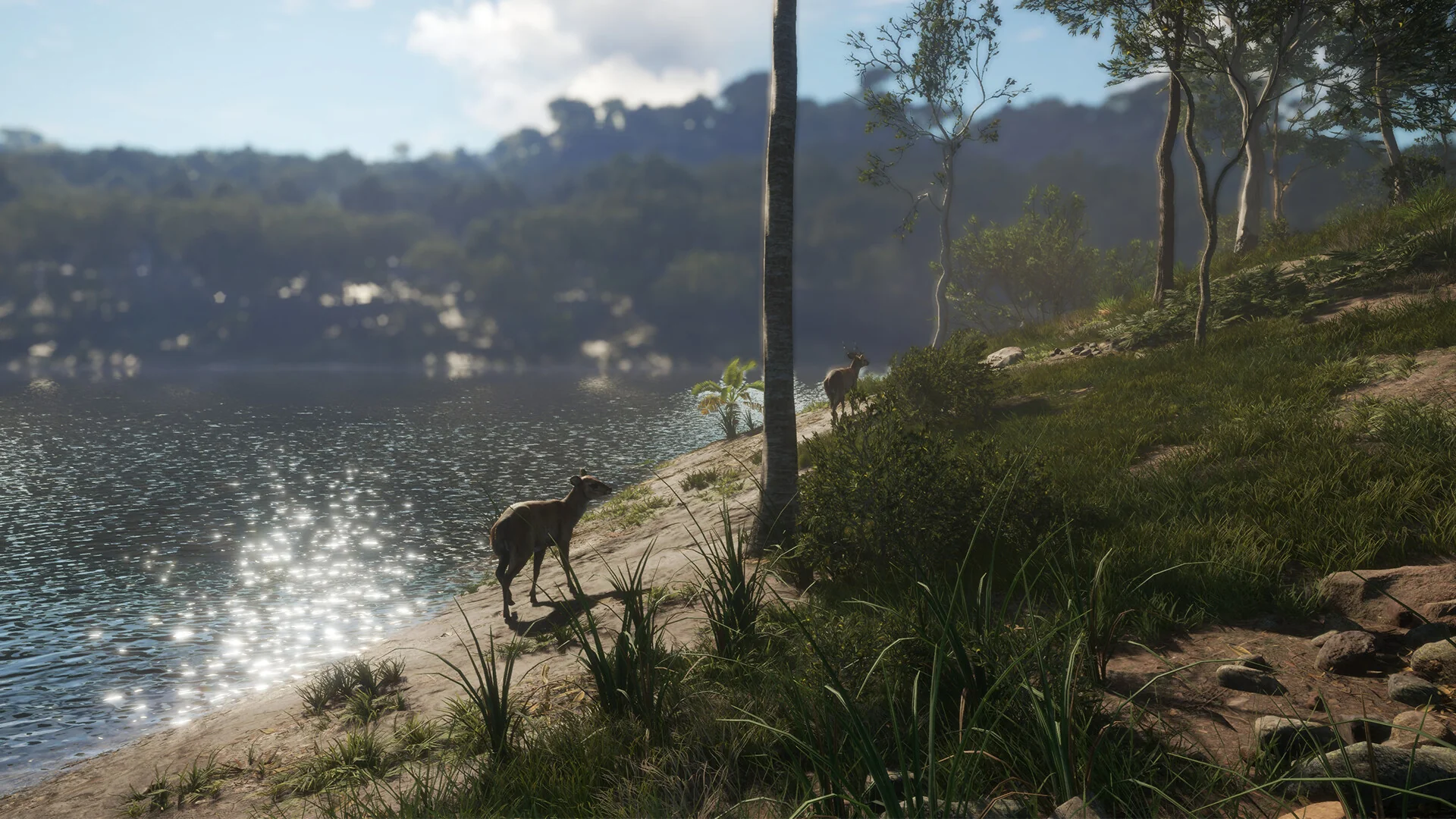 theHunter: Call of the Wild™ - Emerald Coast Australia - Image 9