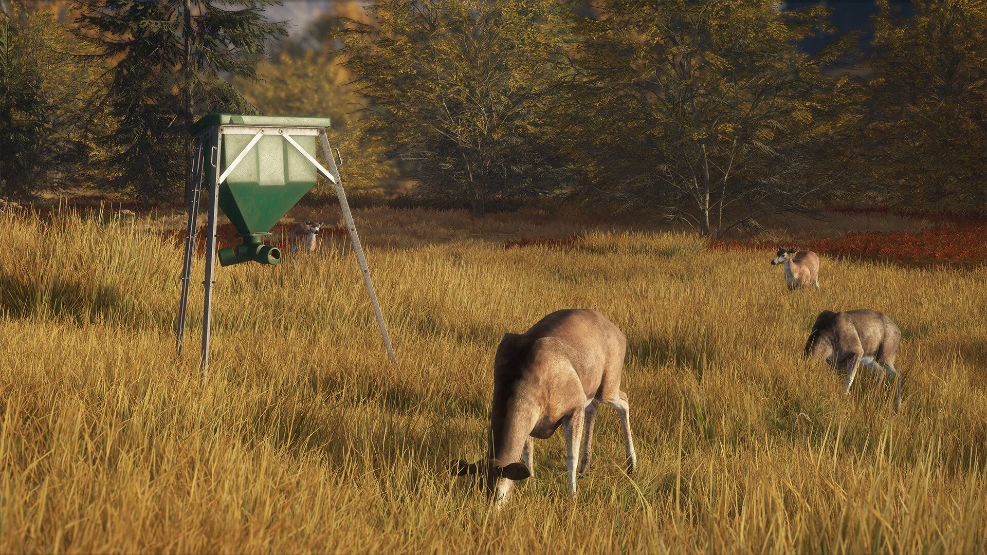 theHunter: Call of the Wild™ - Game Feeder Pack - Image 10