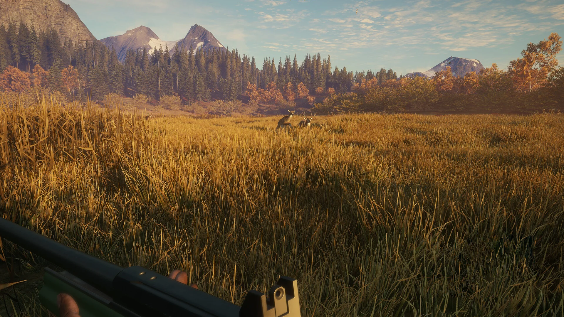 theHunter: Call of the Wild™ - Hunter Power Pack - Image 3