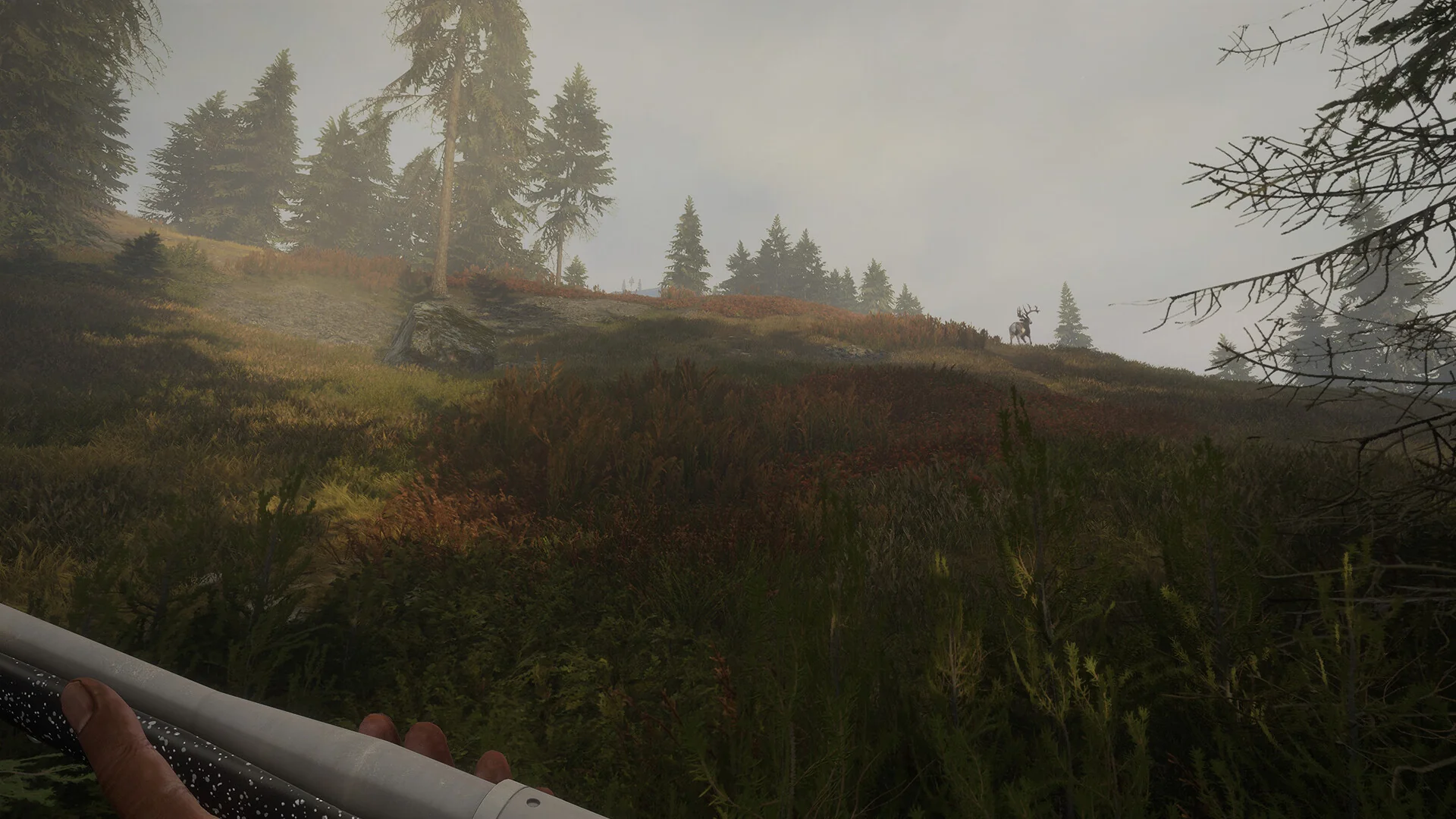 theHunter: Call of the Wild™ - Hunter Power Pack - Image 4