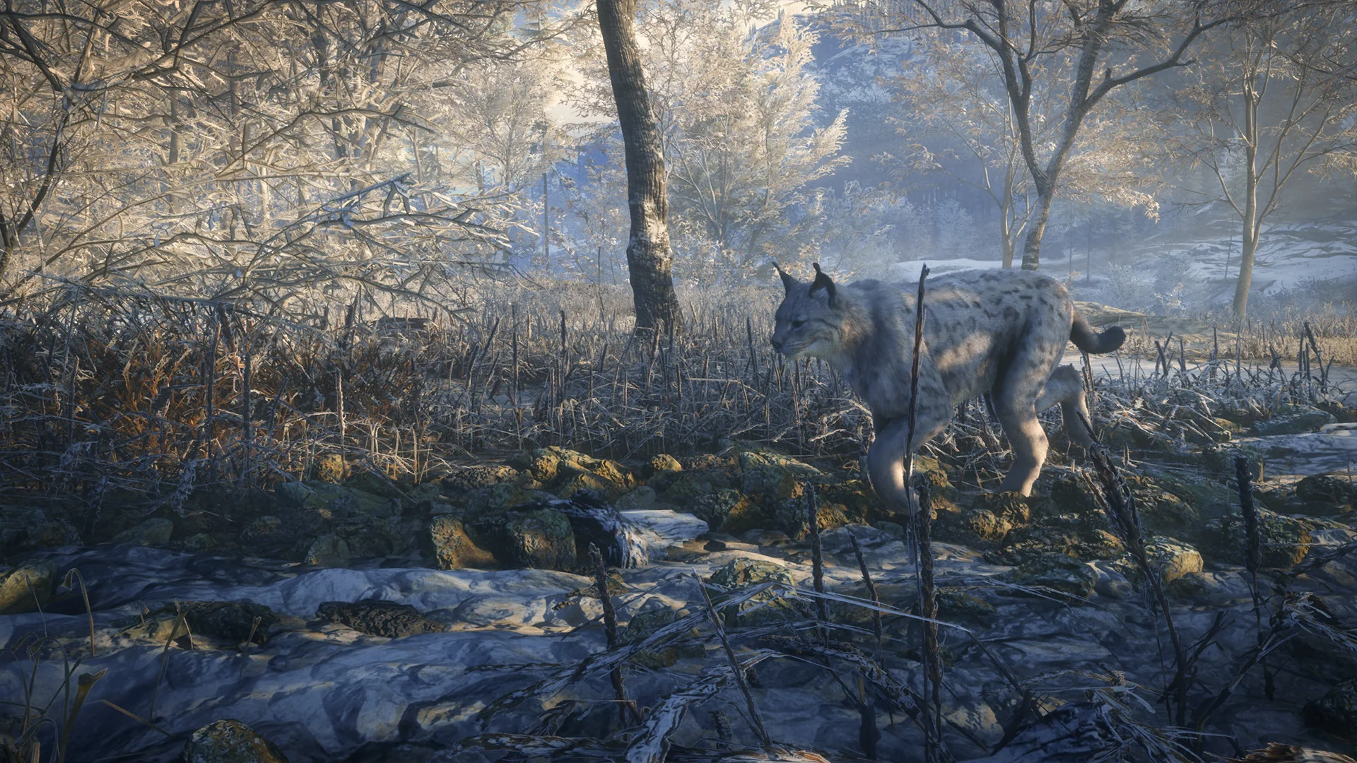 theHunter: Call of the Wild™ - Medved-Taiga - Image 2