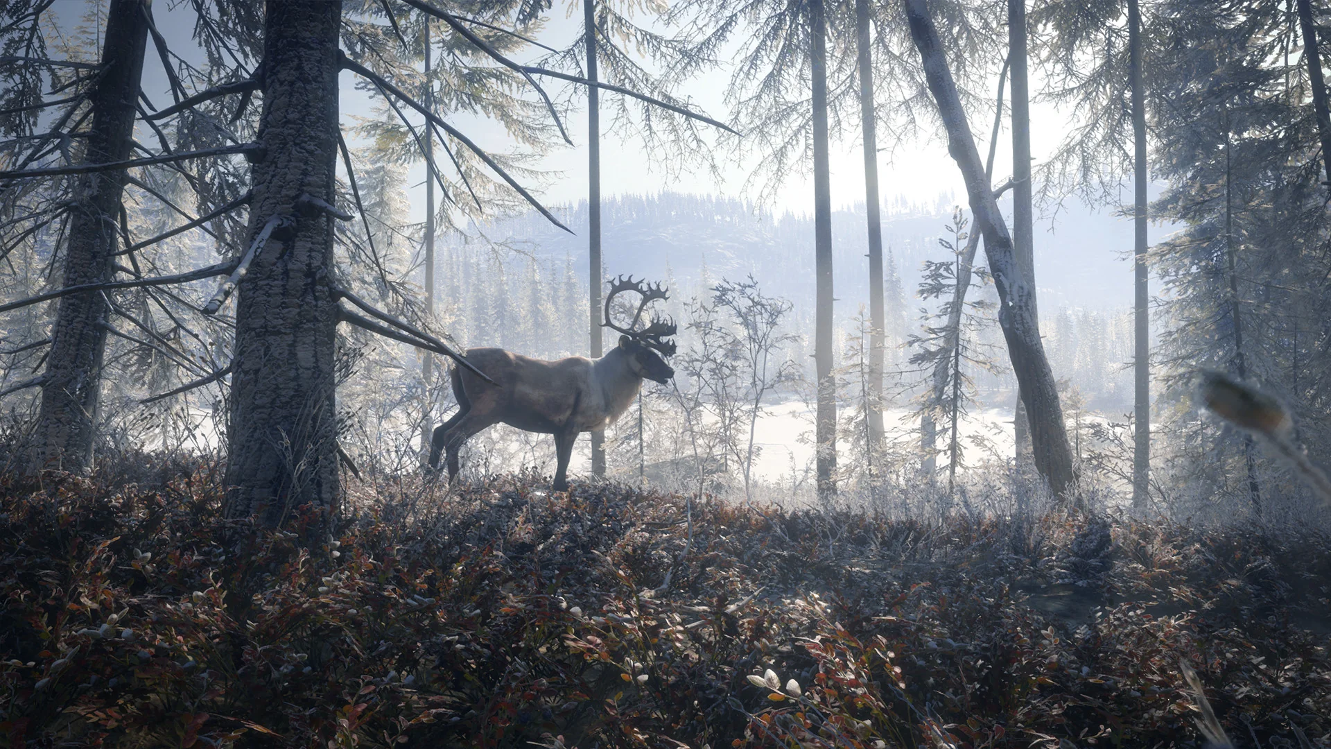 theHunter: Call of the Wild™ - Medved-Taiga - Image 6
