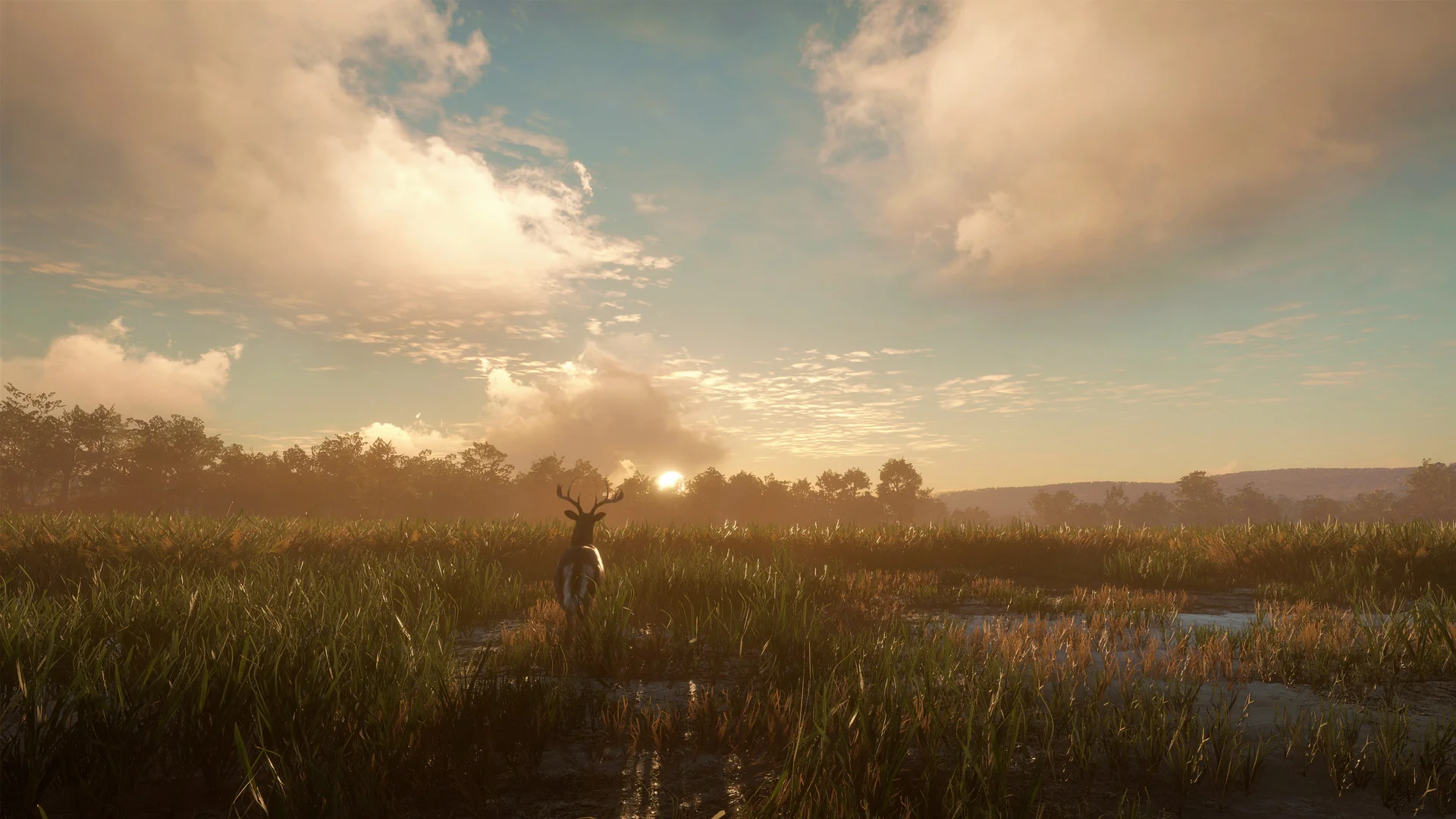 theHunter: Call of the Wild™ - Mississippi Acres Preserve - Image 2