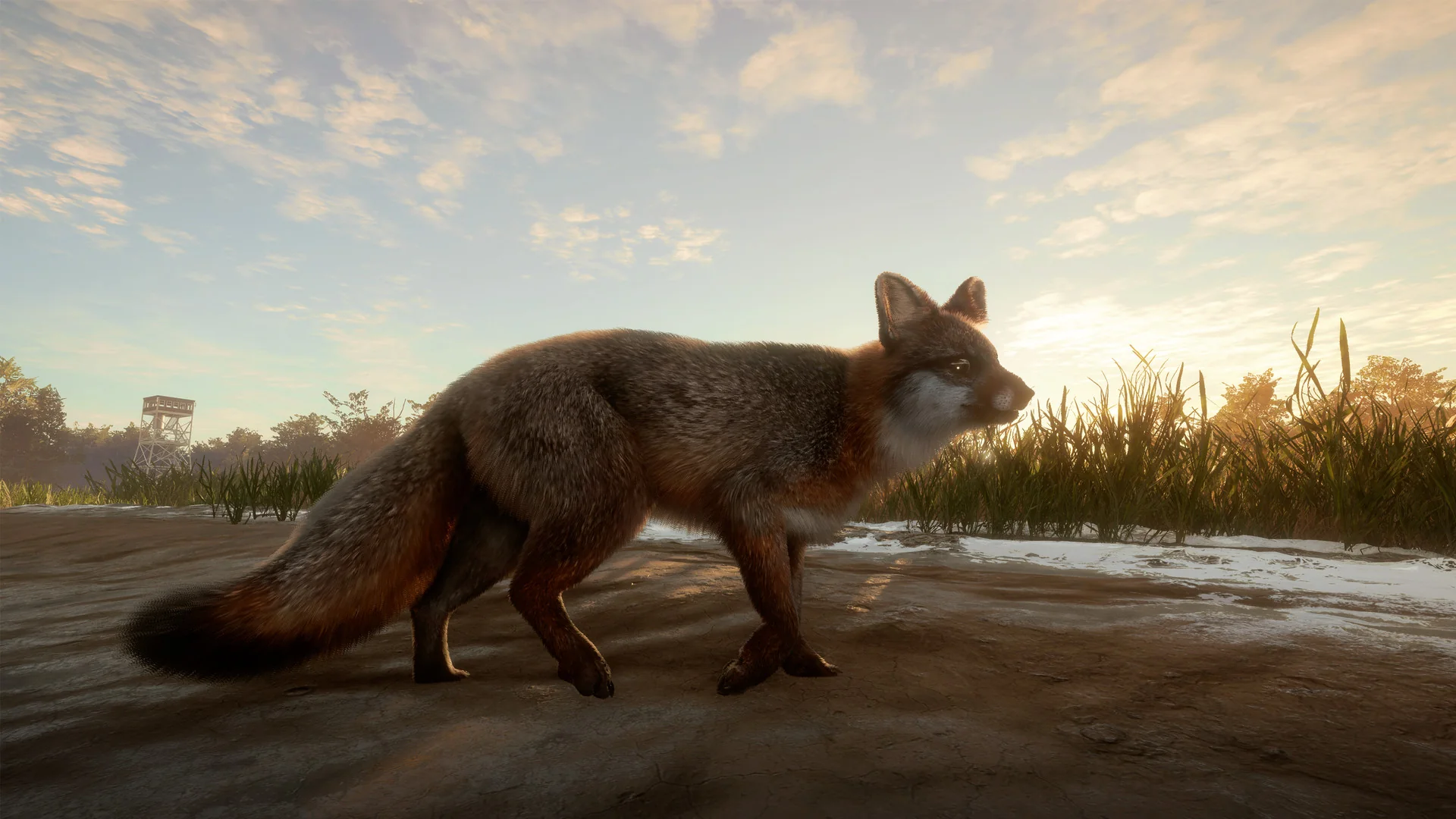 theHunter: Call of the Wild™ - Mississippi Acres Preserve - Image 7