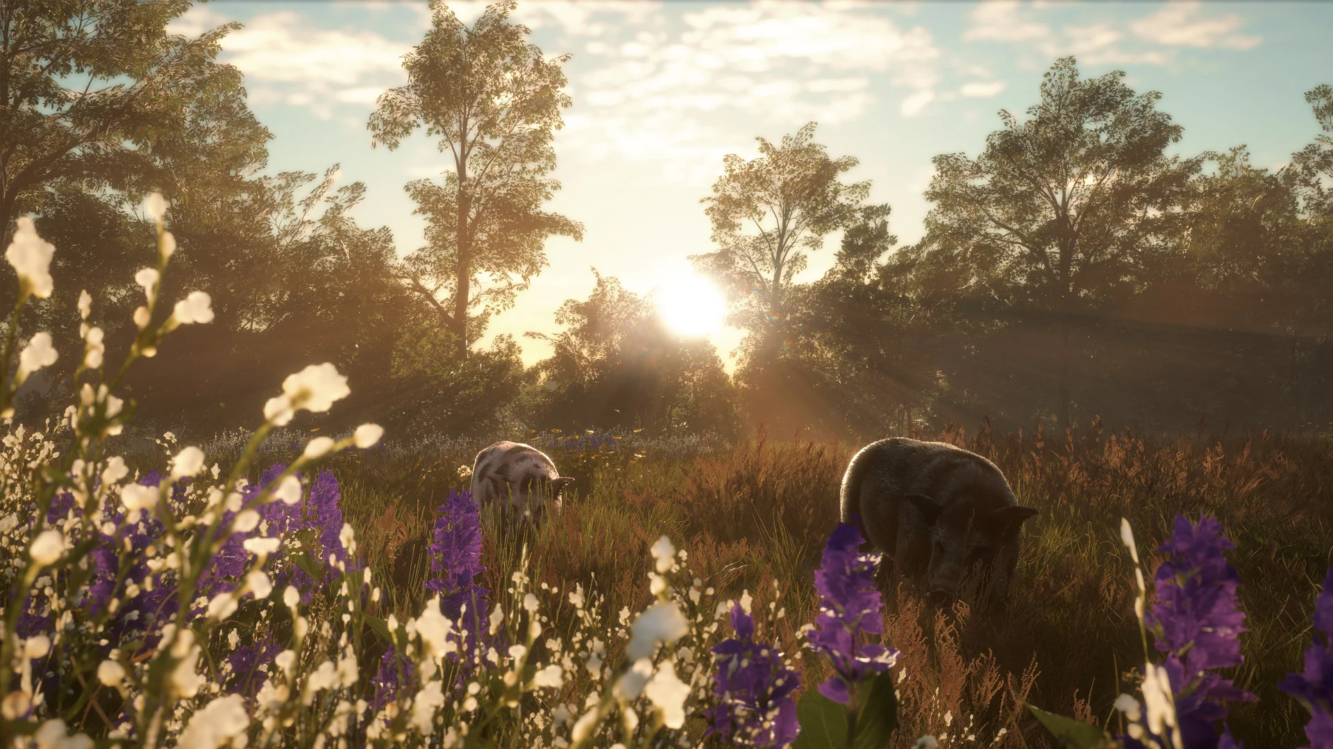 theHunter: Call of the Wild™ - Mississippi Acres Preserve - Image 9