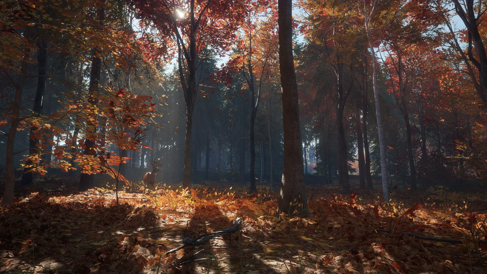 theHunter: Call of the Wild™ - New England Mountains - Image 5
