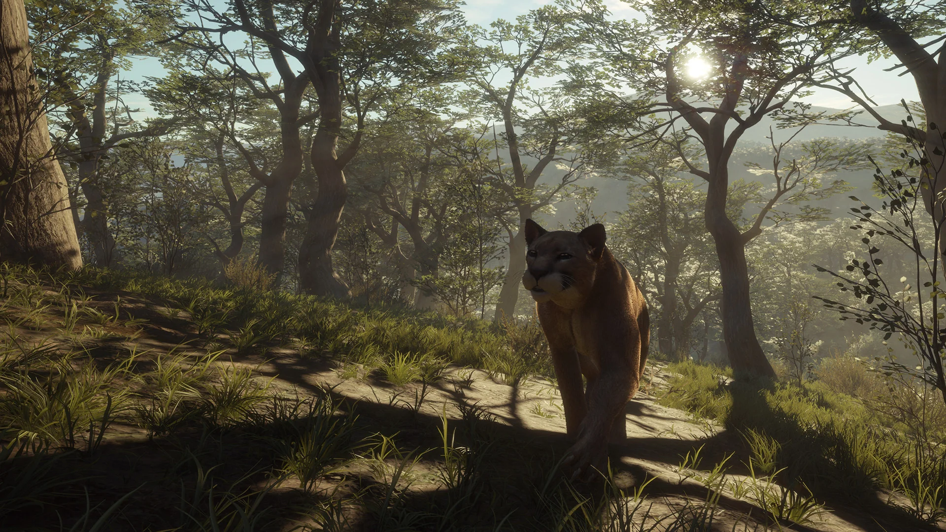 theHunter: Call of the Wild™ - Parque Fernando - Image 4