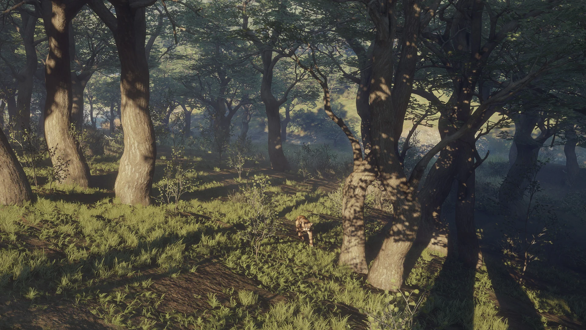 theHunter: Call of the Wild™ - Parque Fernando - Image 5