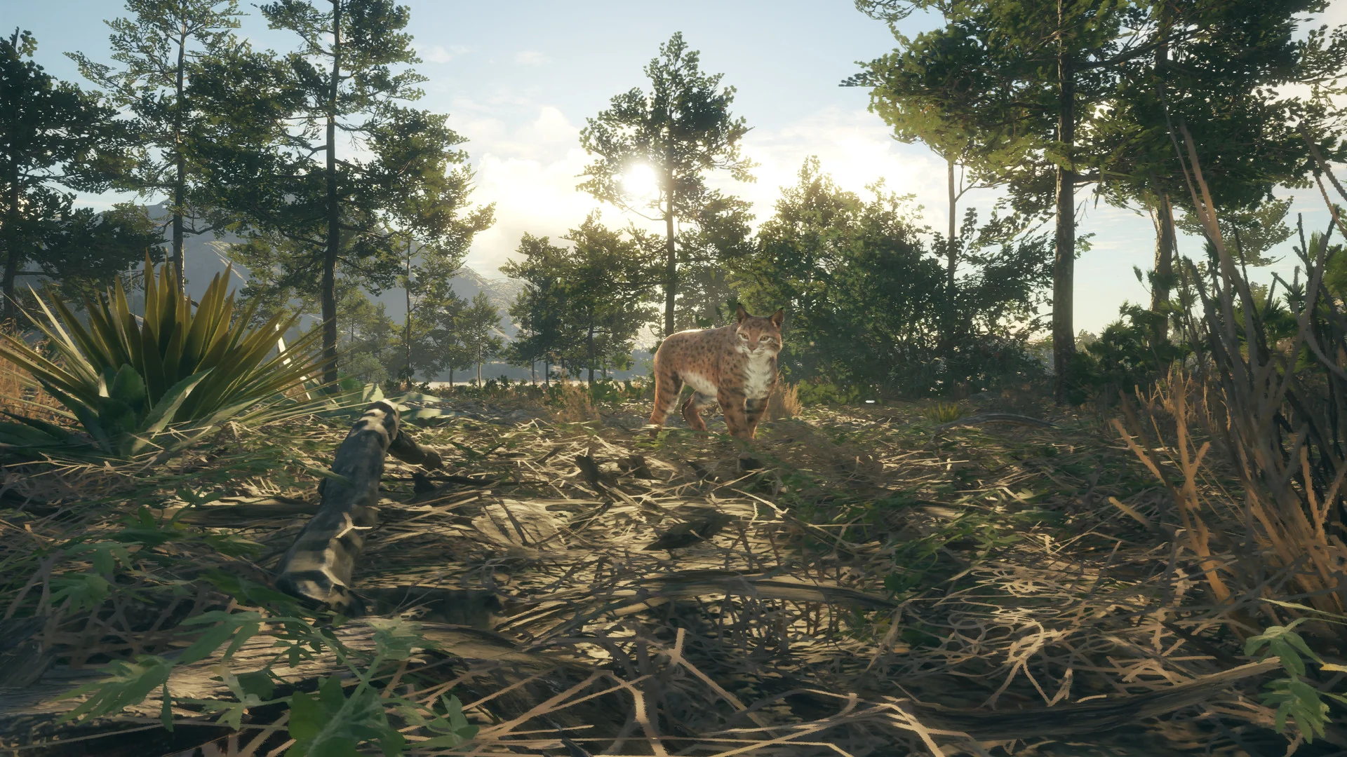 theHunter: Call of the Wild™ - Rancho del Arroyo - Image 10