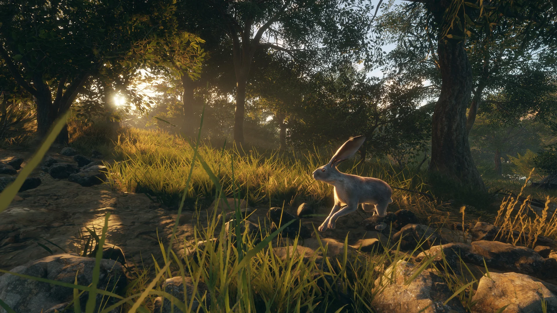 theHunter: Call of the Wild™ - Rancho del Arroyo - Image 4