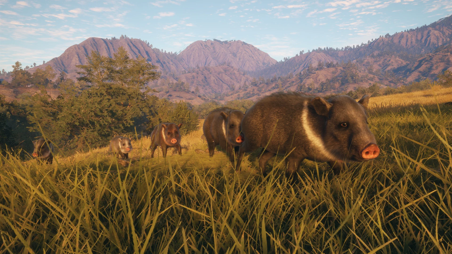 theHunter: Call of the Wild™ - Rancho del Arroyo - Image 7