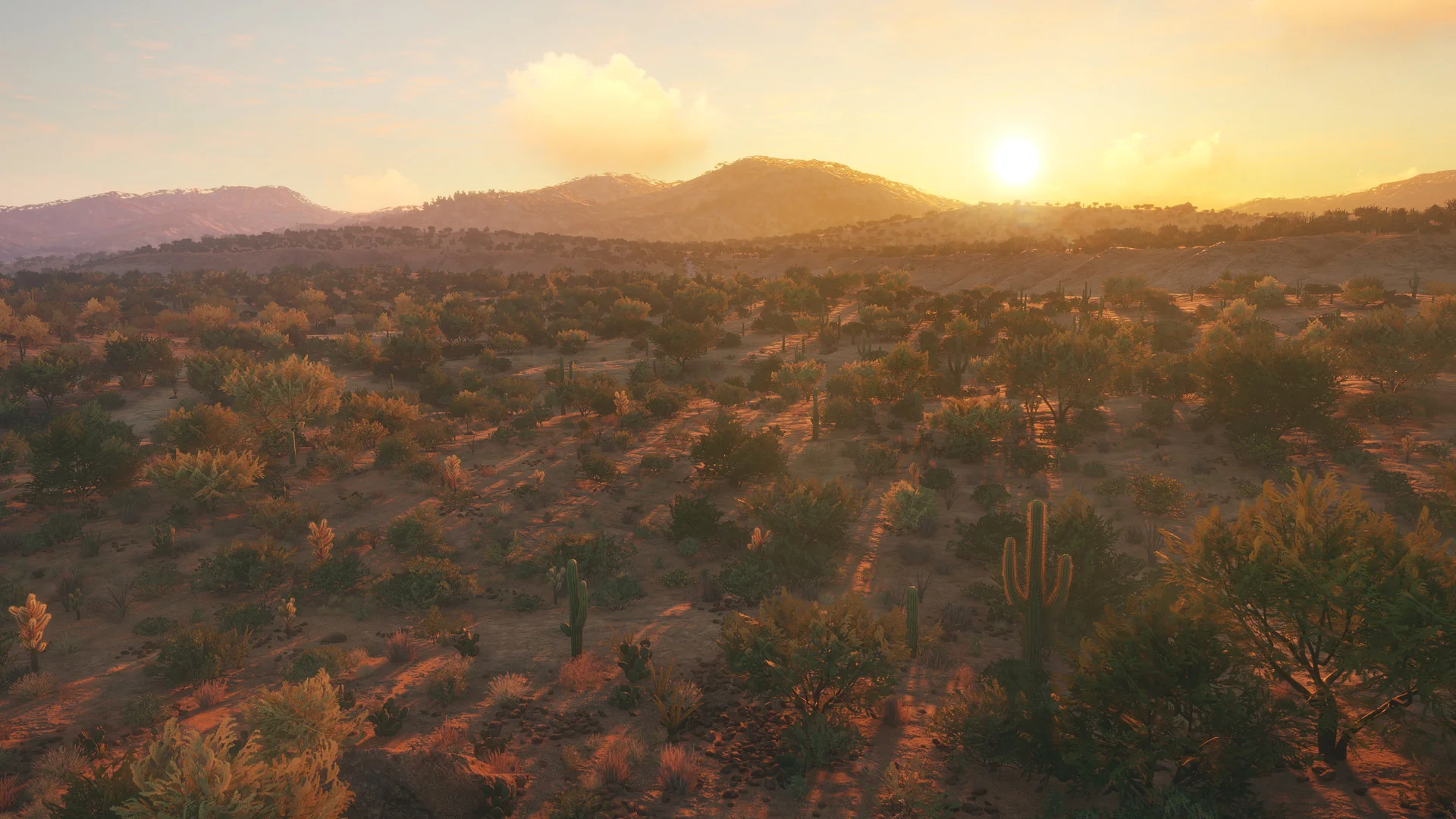 theHunter: Call of the Wild™ - Rancho del Arroyo - Image 8