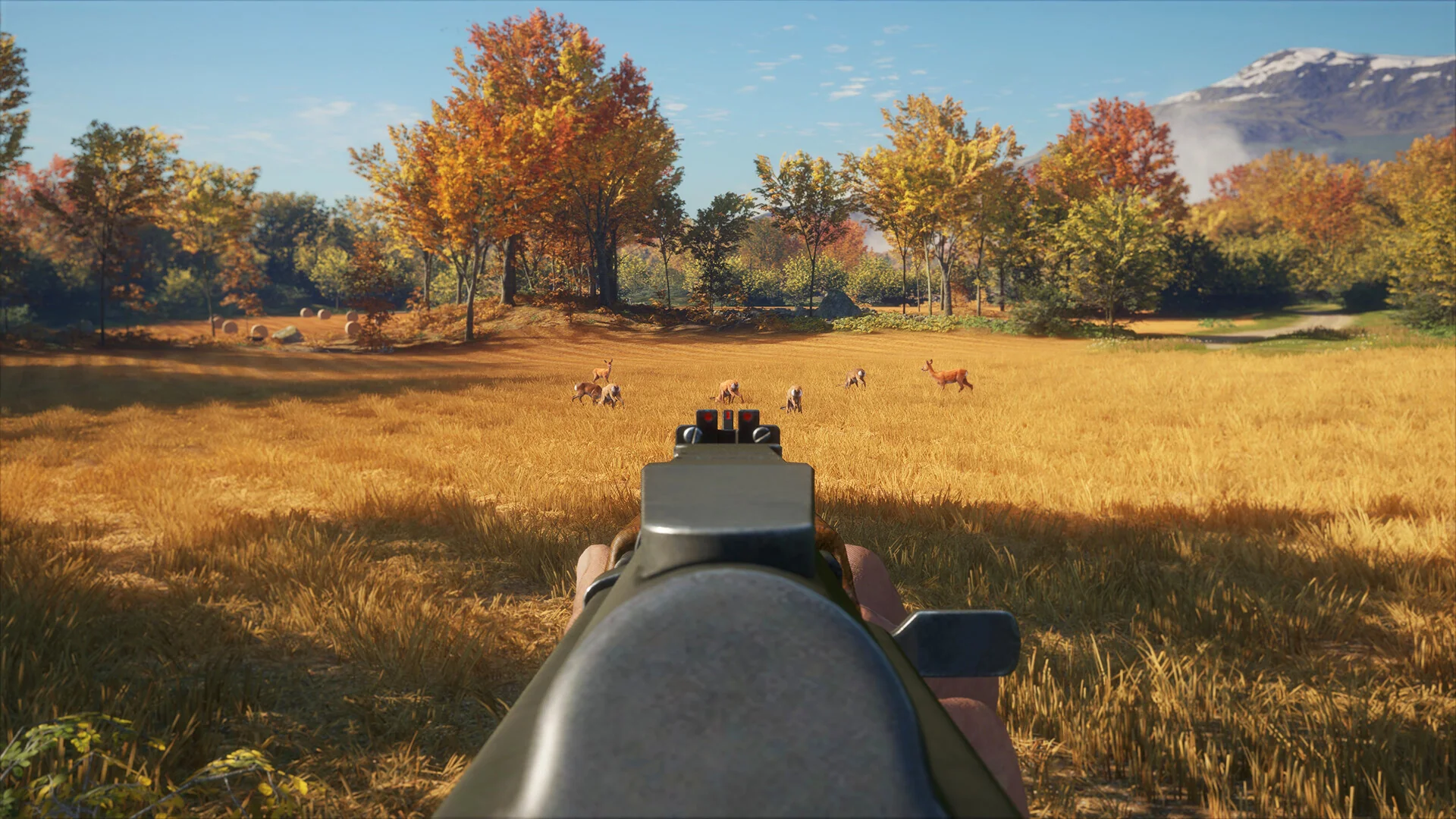 theHunter: Call of the Wild™ - Rapid Hunt Rifle Pack - Image 10