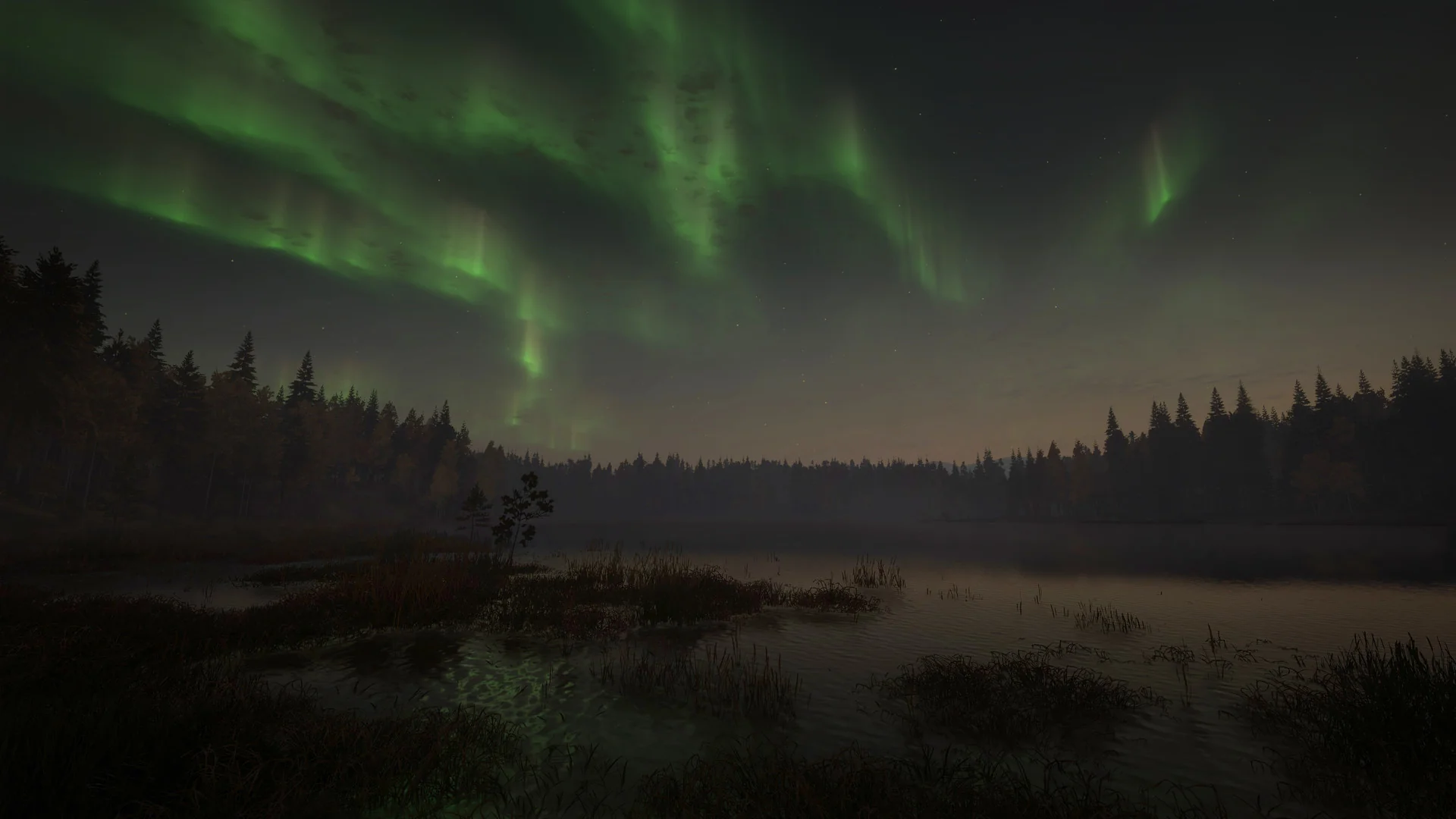 theHunter: Call of the Wild™ - Revontuli Coast - Image 12