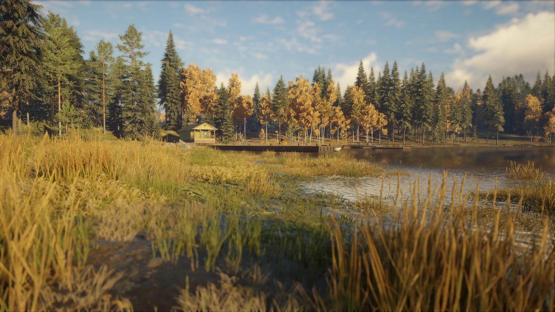 theHunter: Call of the Wild™ - Revontuli Coast - Image 2