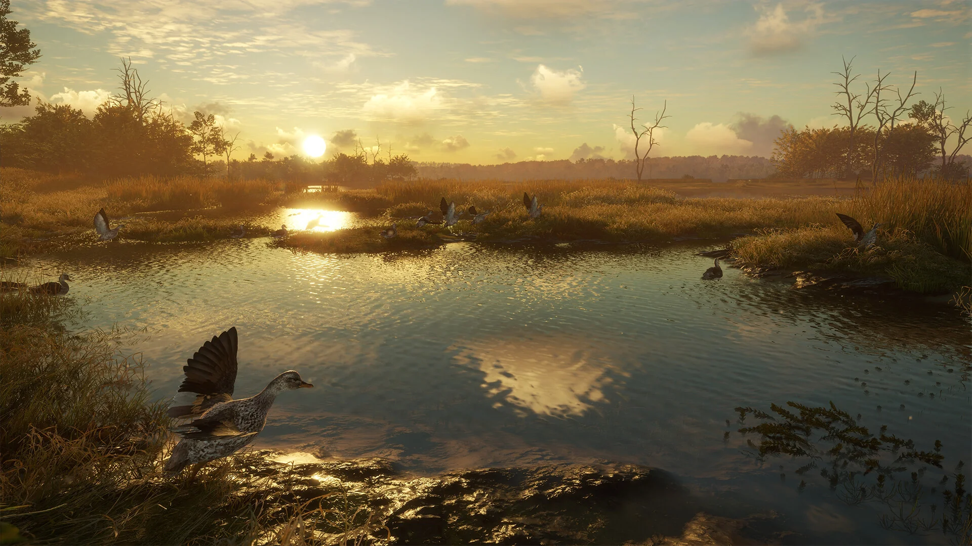 theHunter: Call of the Wild™ - Salzwiesen Park - Image 7
